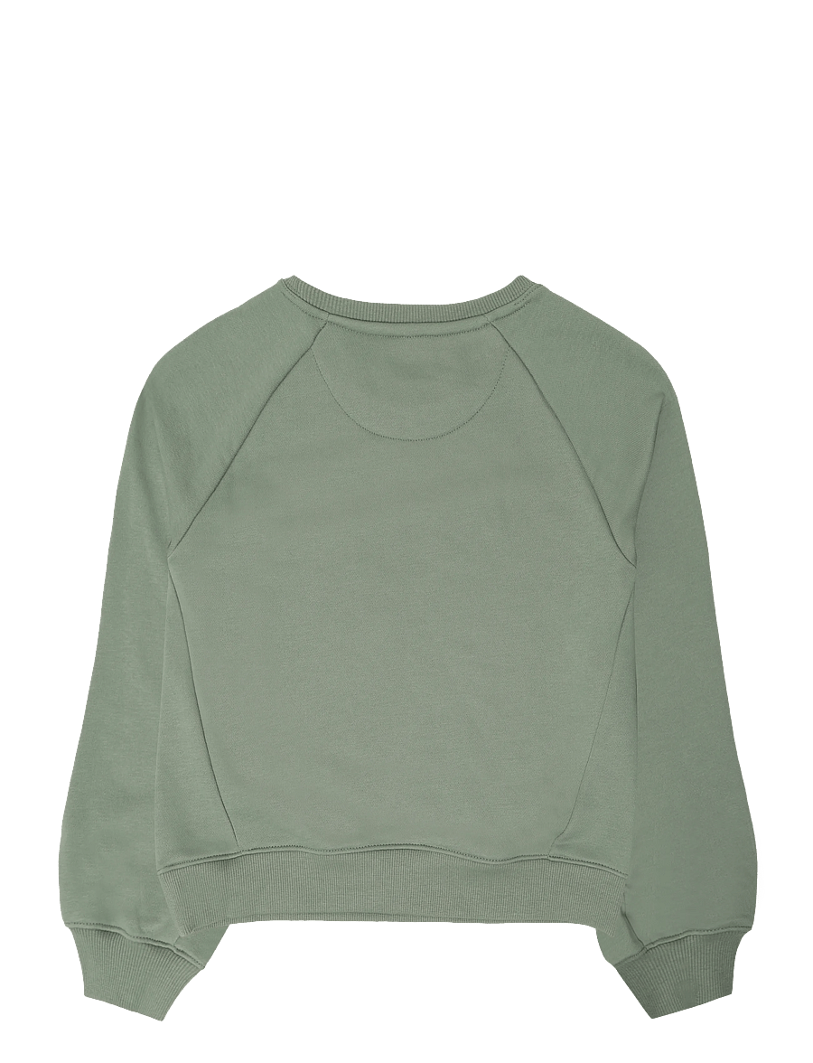 Levi's - FW-CREW - sweatshirts - sea spray - 1