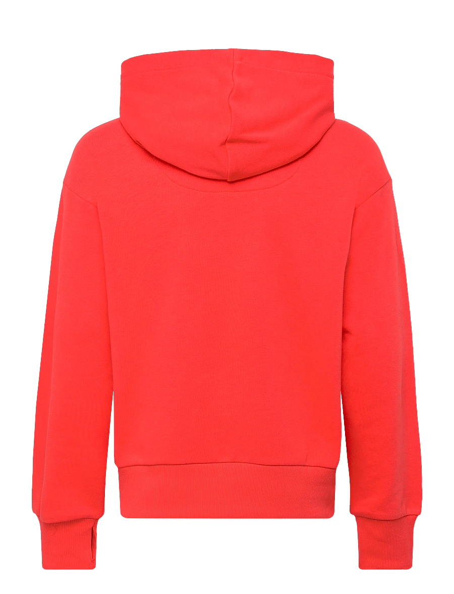 Levi's - Levi's® Graphic Logo Oversized Hoodie - pulls à capuche - hot coral - 1