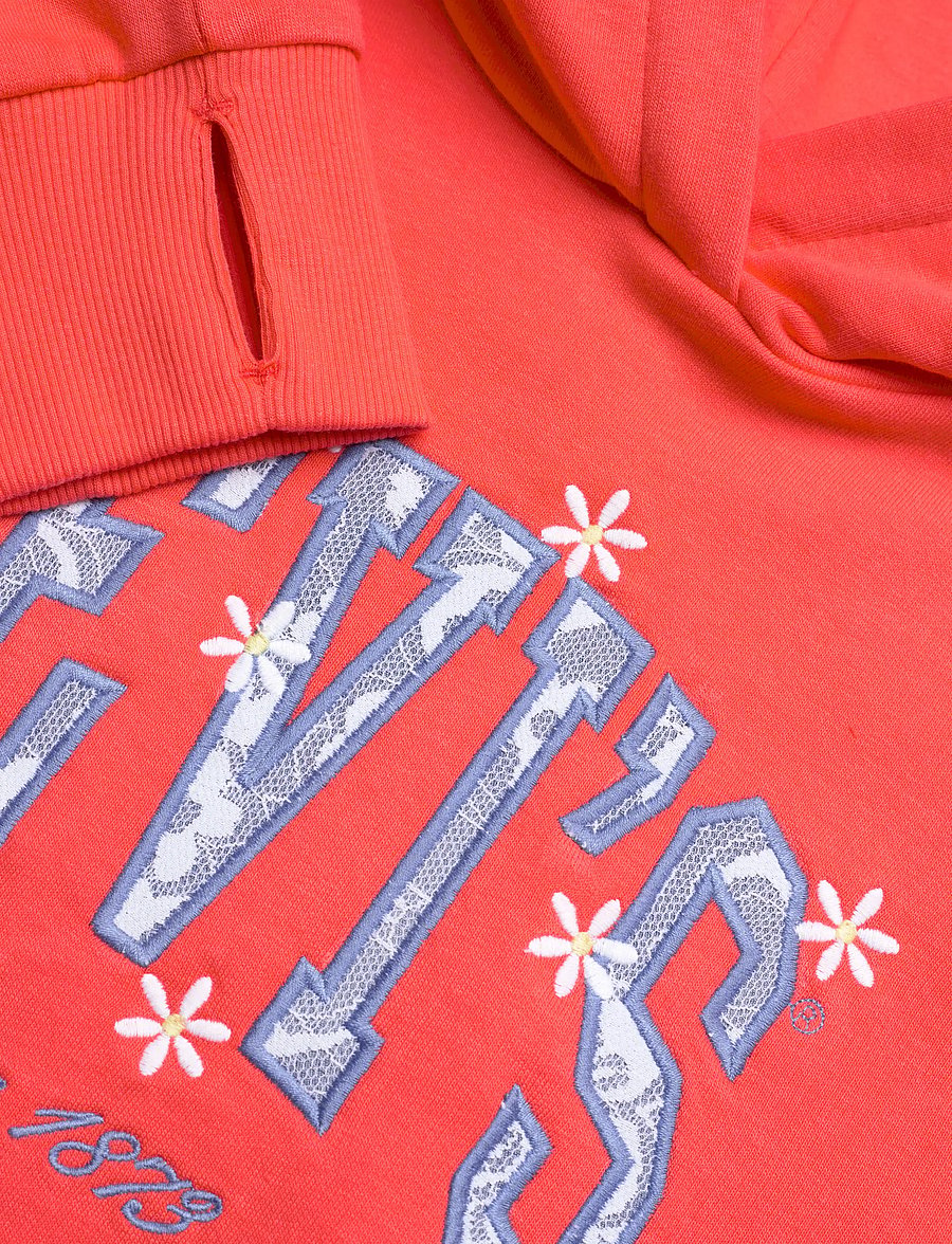 Levi's - Levi's® Graphic Logo Oversized Hoodie - pulls à capuche - hot coral - 2
