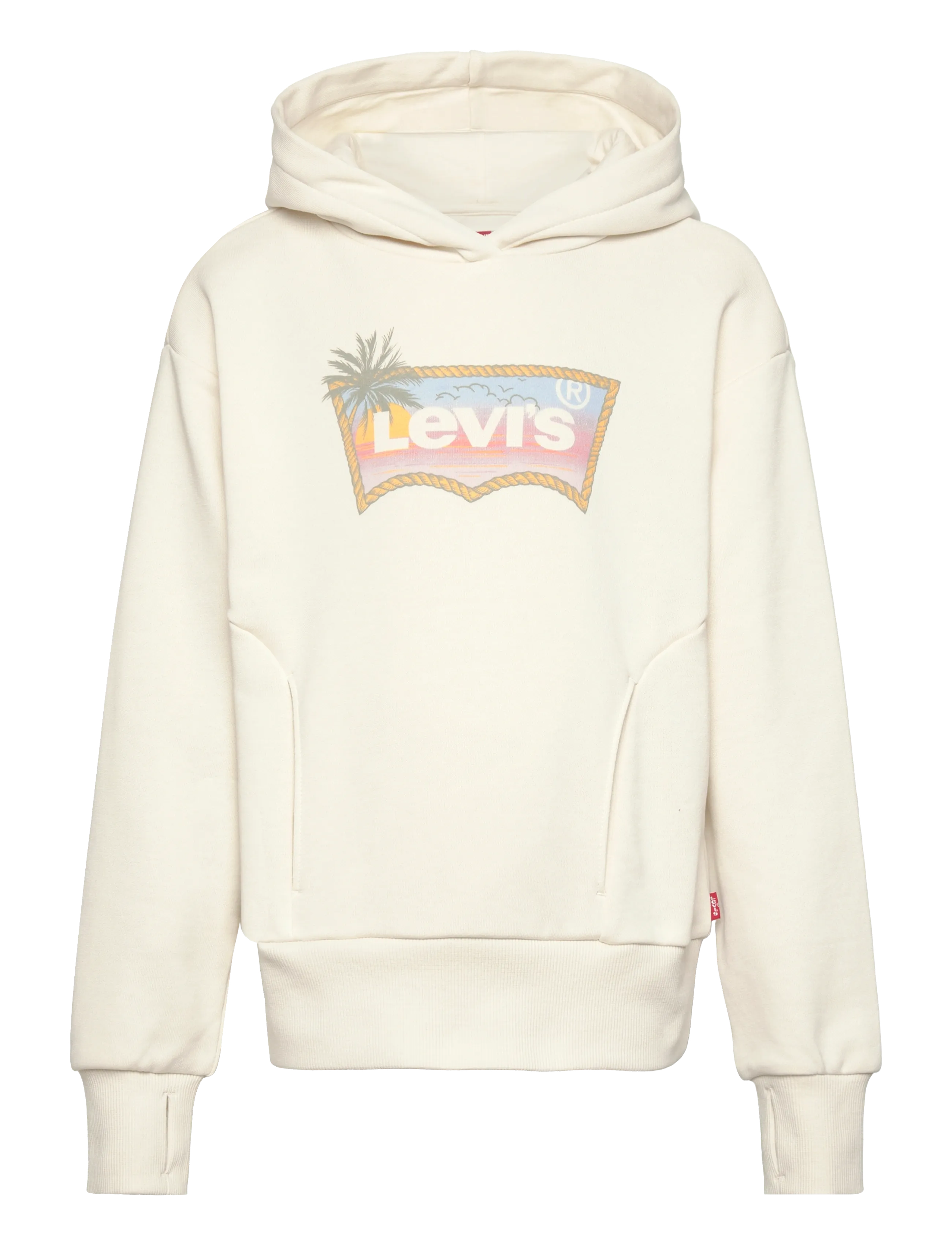 Levi's LVG OMBRE BATWING PULLOVER HOO - Nyheder - ANTIQUE WHITE / cream