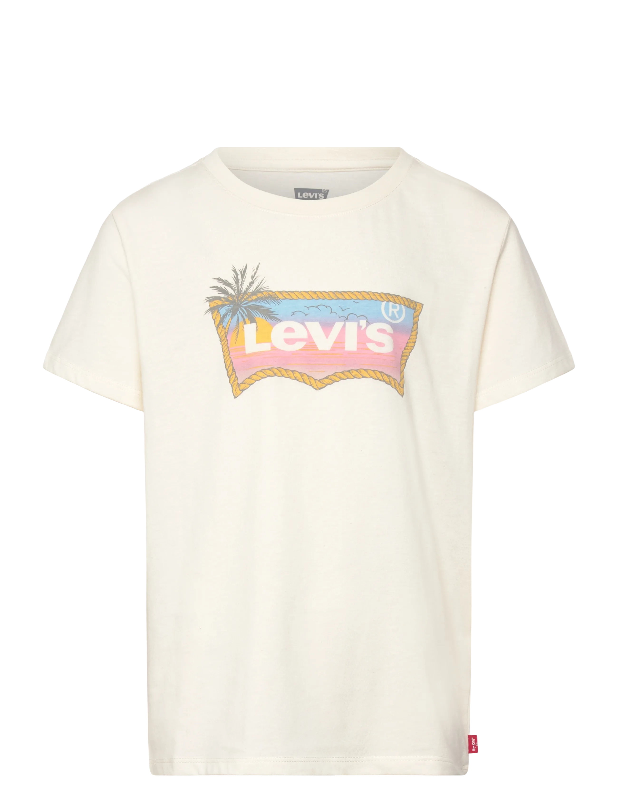 Levi's LVG OMBRE BATWING SS TEE - Overdele - ANTIQUE WHITE / cream