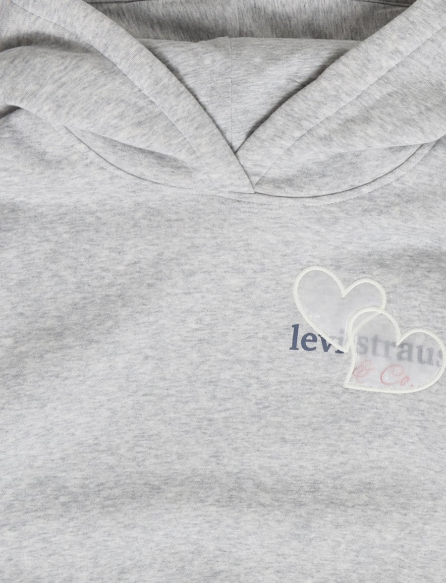 Levi's - PO-PULL-OVER HOODY - džemperiai su gobtuvu - light gray heather - 2