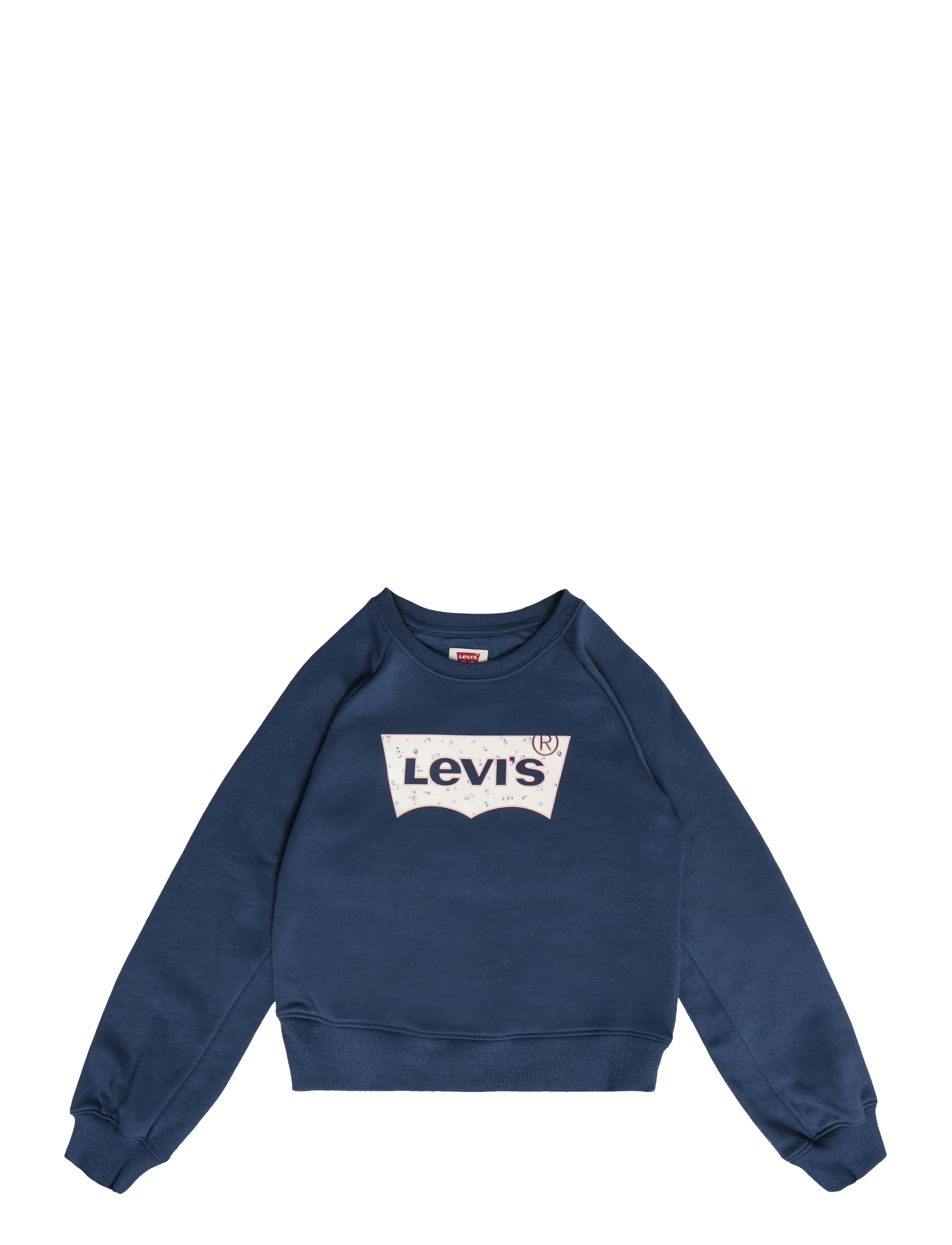 Levi's FW-CREW - Sweatshirts & Hættetrøjer - BIG DIPPER / navy