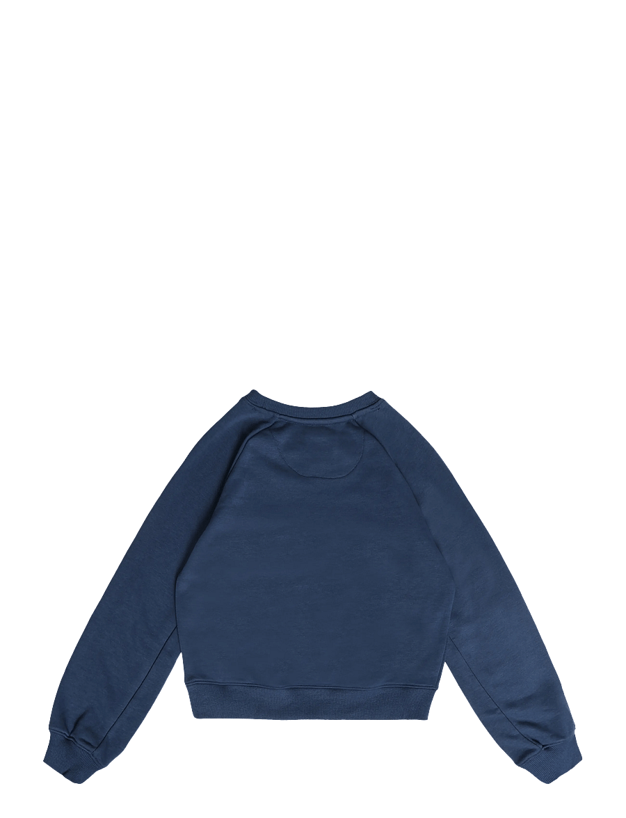 Levi's - FW-CREW - sweatshirts - big dipper - 1