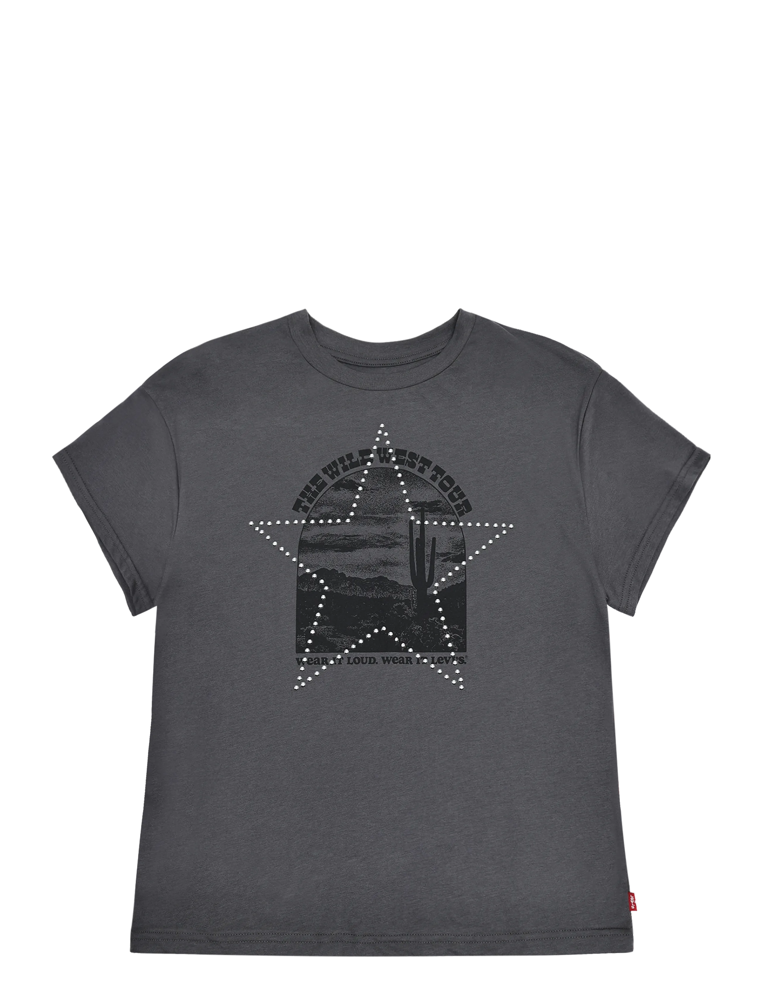 Levi's TE-S/S TEE - Nach Größe einkaufen - MAGNET / grey