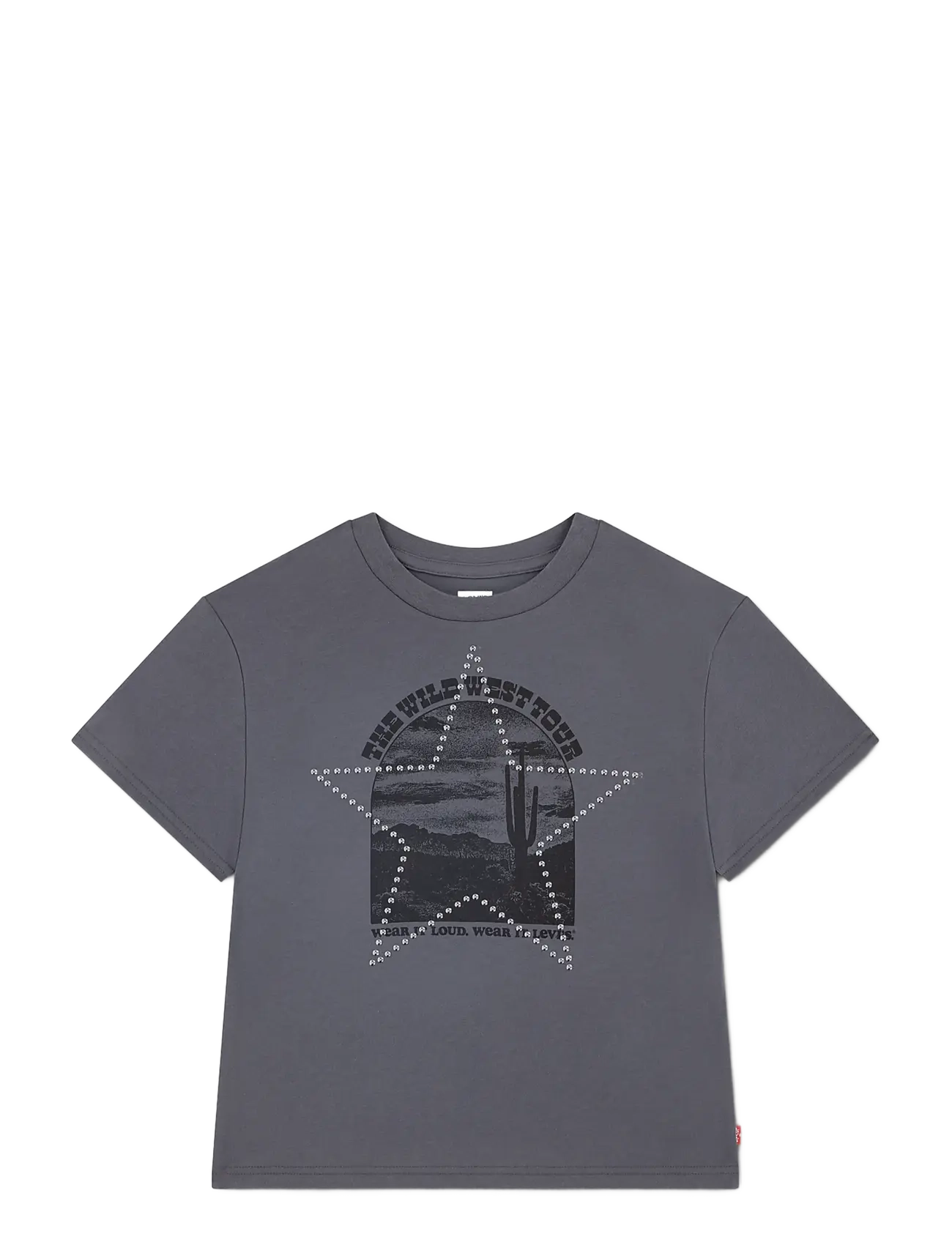 Levi's TE-S/S TEE - T-särgid - MAGNET / grey