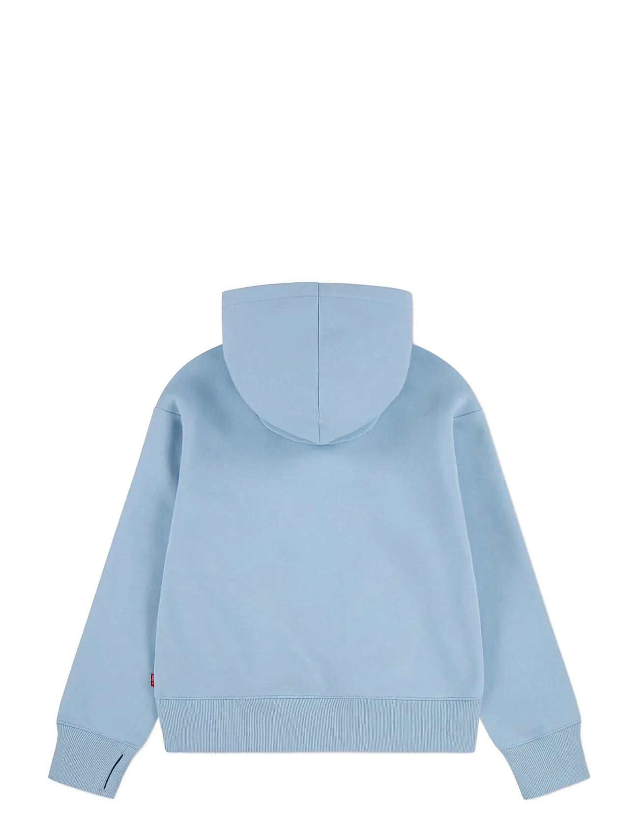 Levi's - PO-PULL-OVER HOODY - džemperiai su gobtuvu - angel falls - 1