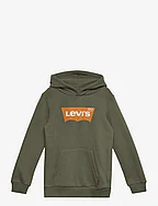 Levi's® Batwing Screenprint Hooded Pullover - GREEN
