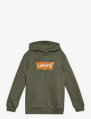 Levi's - Levi's® Batwing Screenprint Hooded Pullover - hoodies - green - 0