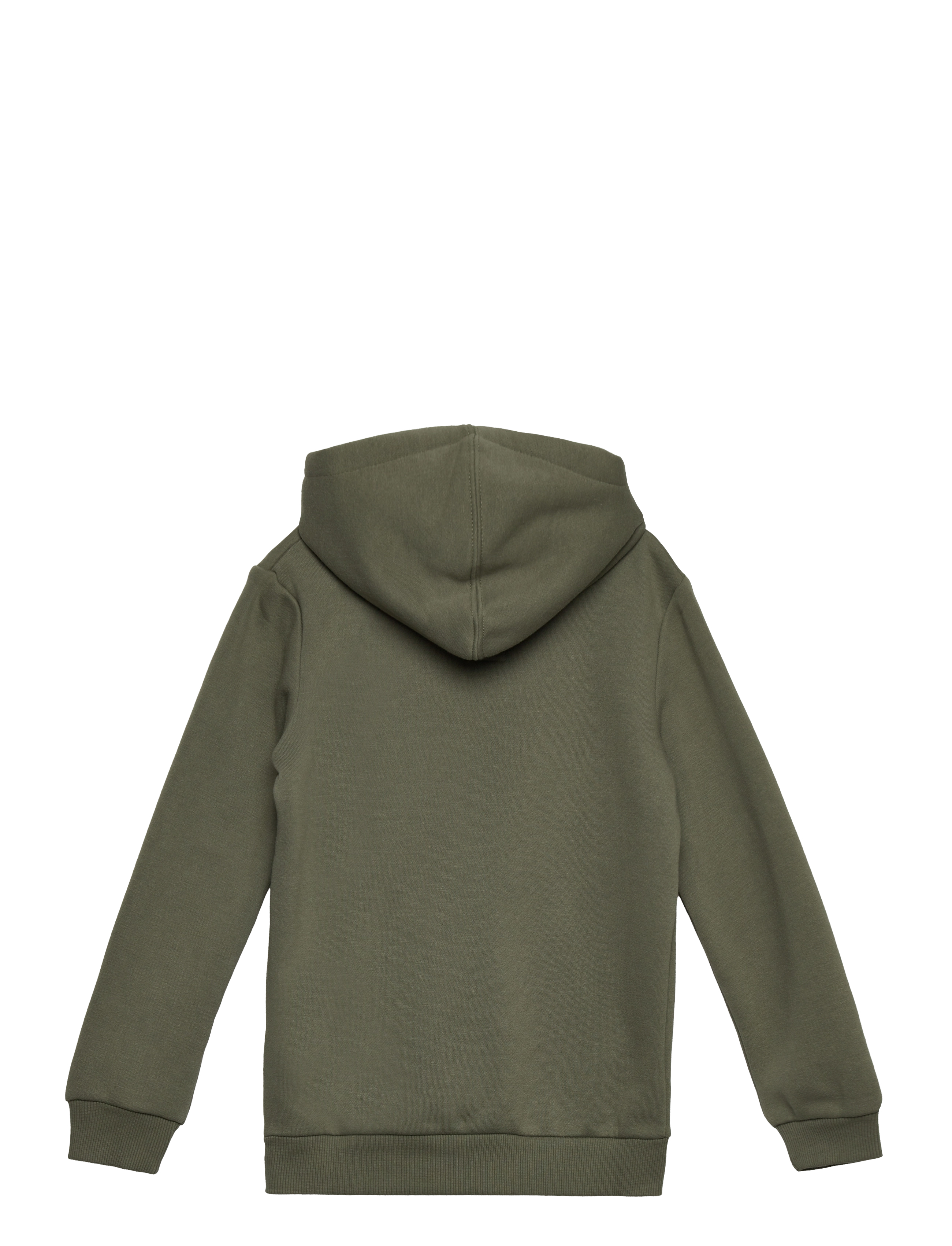 Levi's - Levi's® Screenprint Batwing Pullover Hoodie - hættetrøjer - green - 1