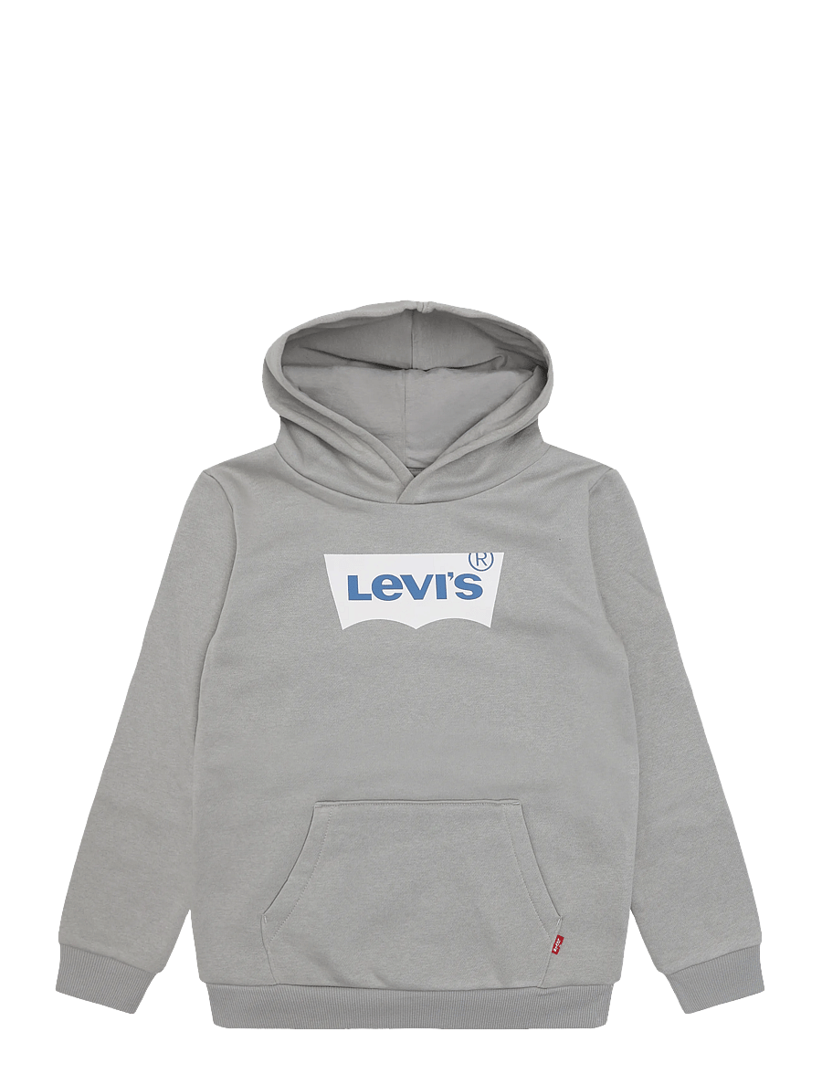 Levi's - PO-PULL-OVER HOODY - huvtröjor - ghost gray - 0