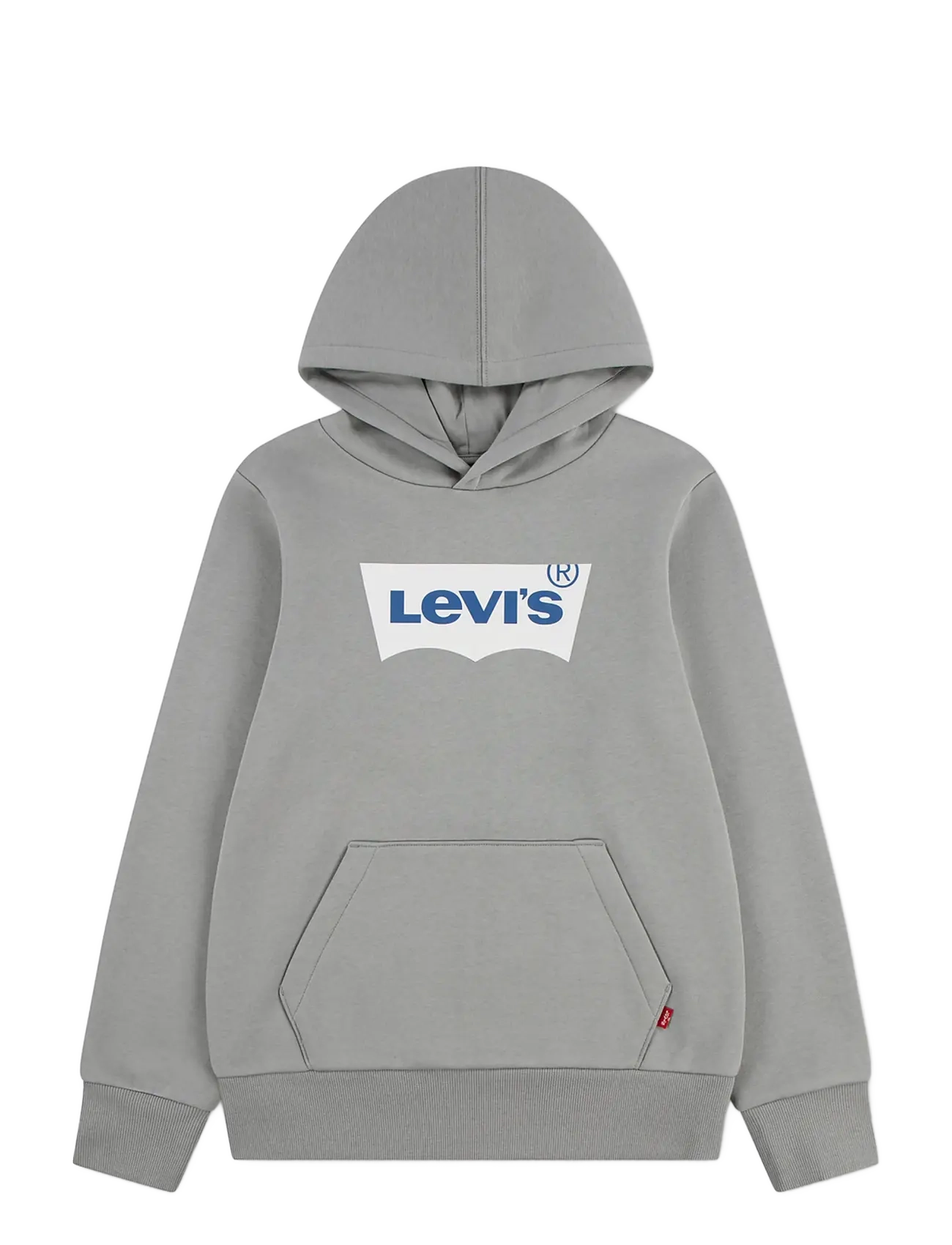 Levi's PO-PULL-OVER HOODY - Kleidung - GHOST GRAY / grey