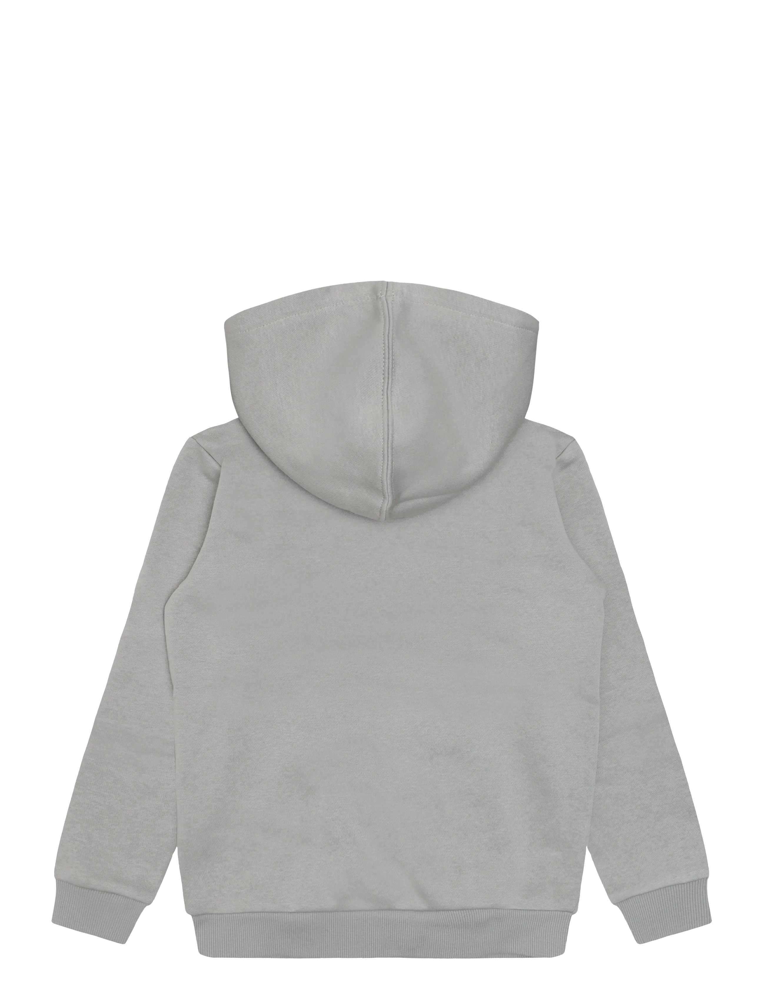 Levi's - PO-PULL-OVER HOODY - huvtröjor - ghost gray - 1