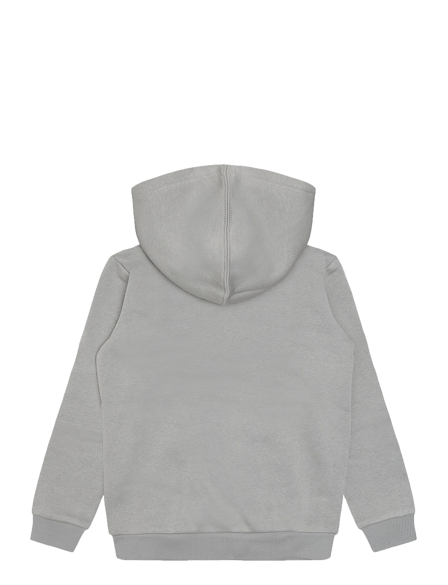 Levi's - PO-PULL-OVER HOODY - huvtröjor - ghost gray - 1