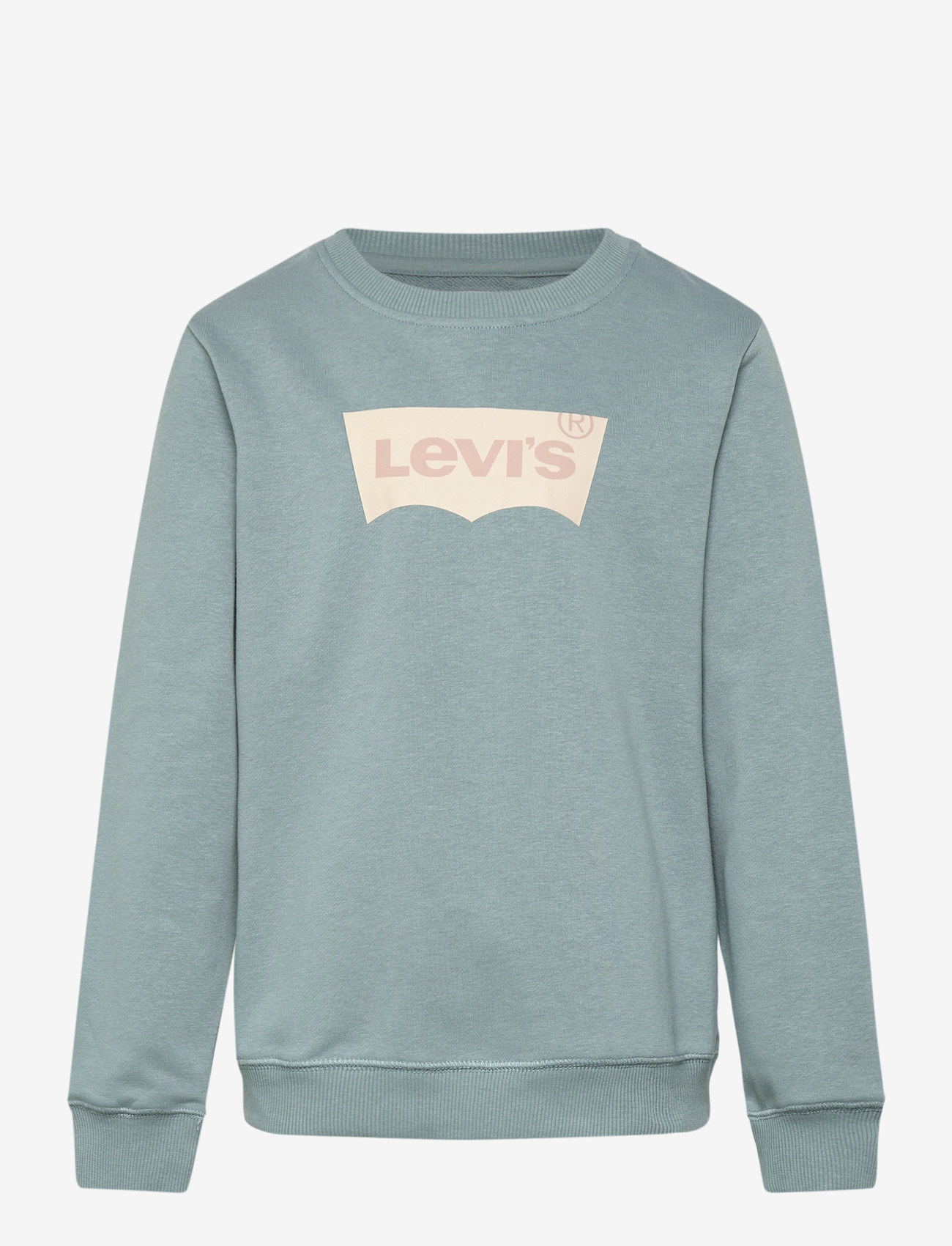 Levi's - Levi's® Batwing French Terry Pullover - sweatshirts - lead - 0