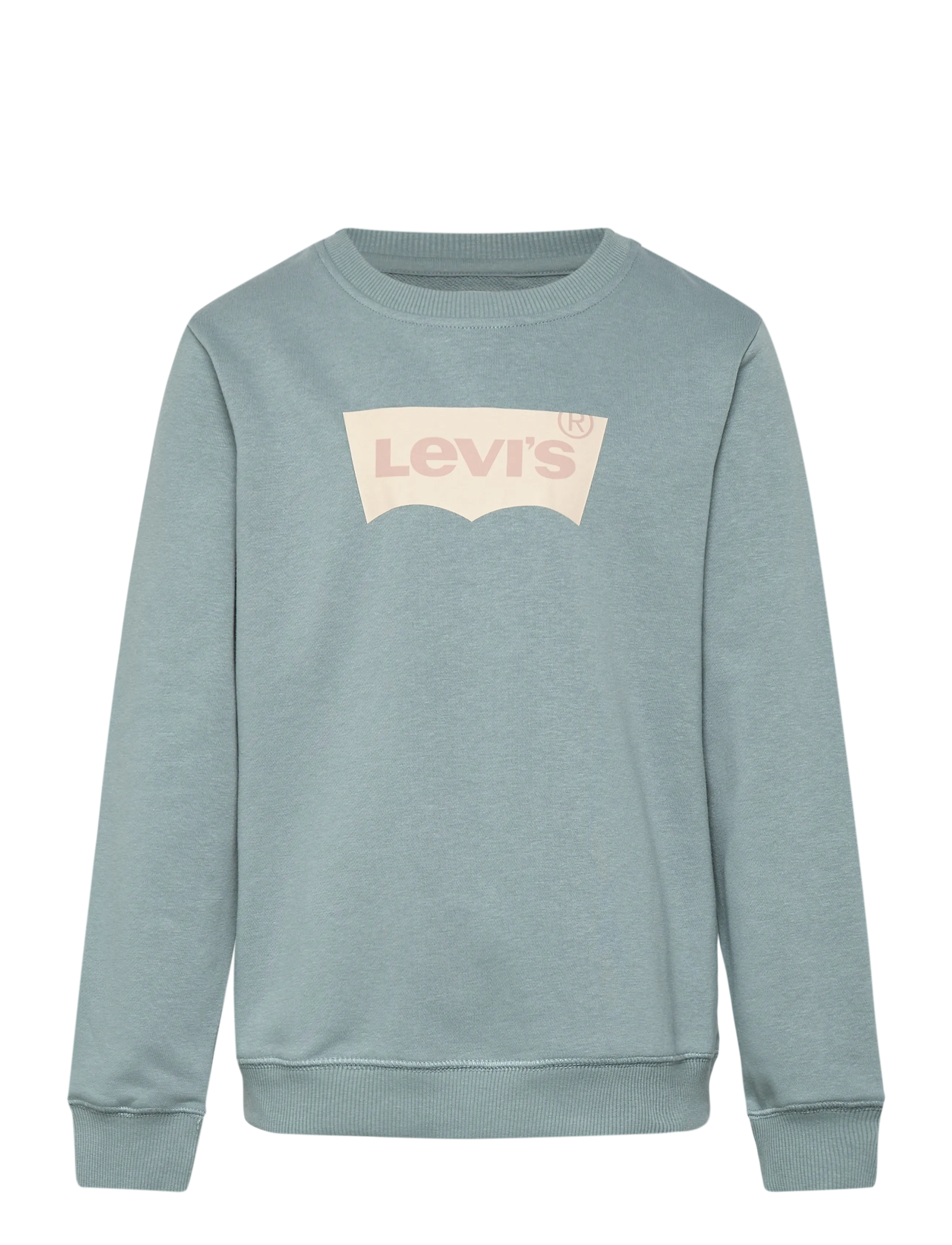 Levi's Levi's® Batwing French Terry Pullover - Vaata kõiki - LEAD / blue