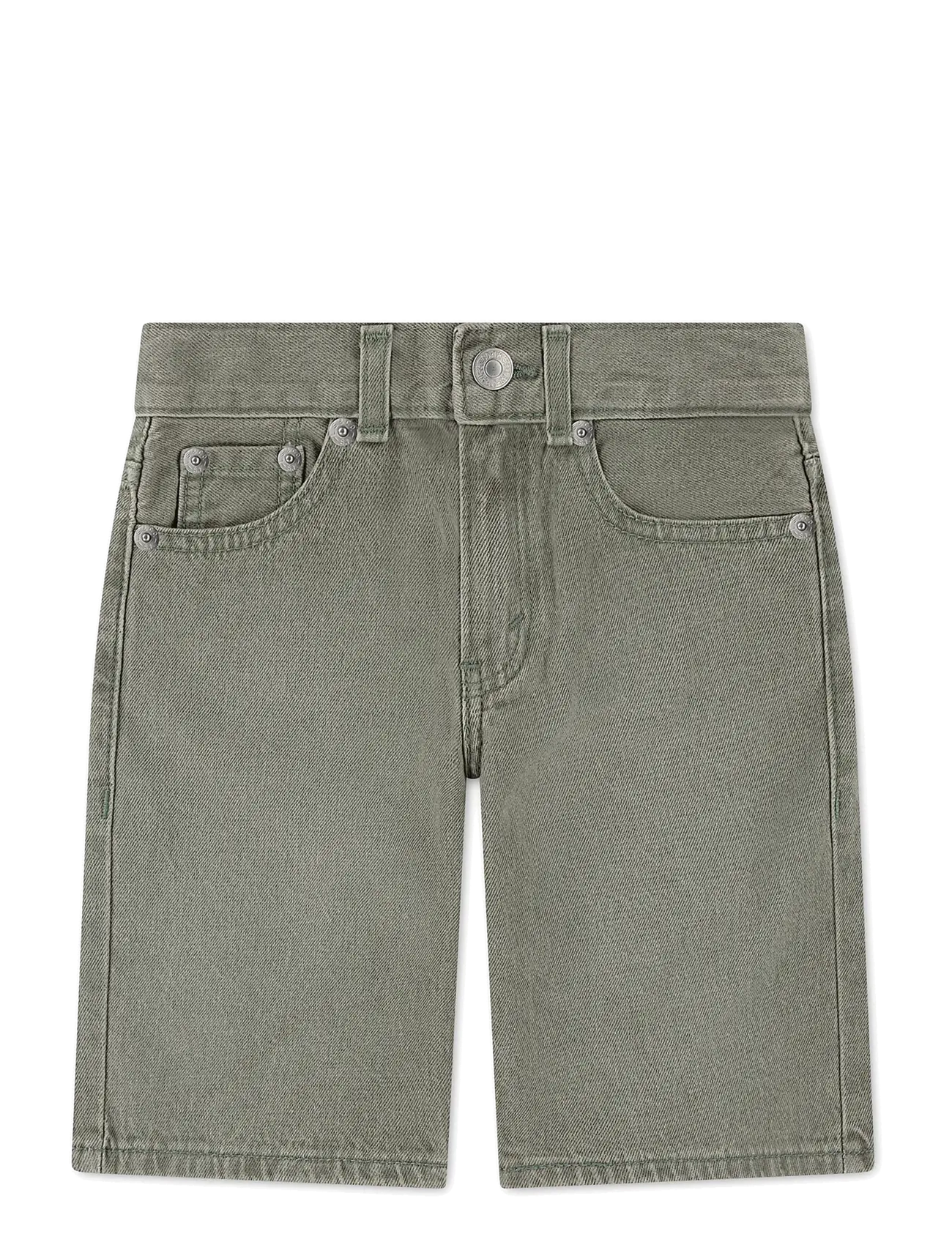 Levi's Levi's® Skate Shorts - Kleidung - CACTI WASH / grey