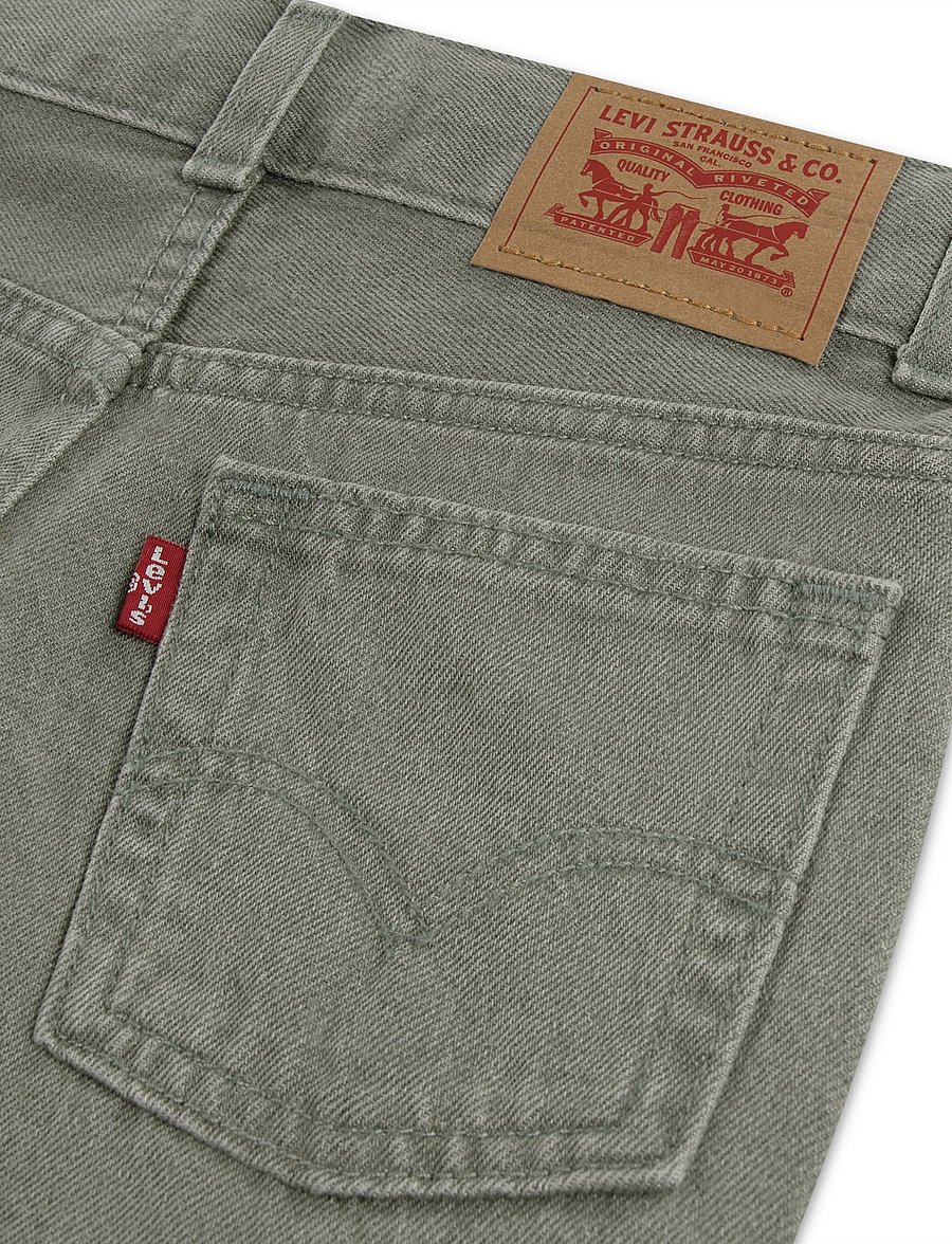 Levi's - Levi's® Skate Shorts - džinsa šorti - cacti wash - 2