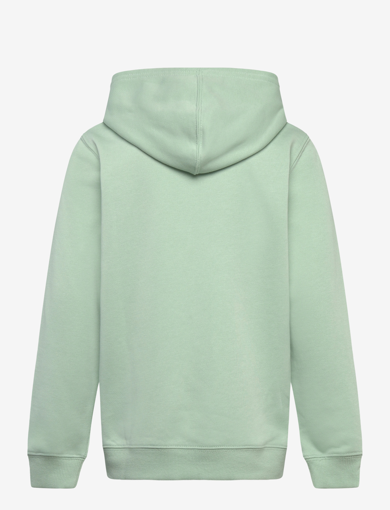 Levi's - Levi's® Mini Batwing Pullover Hoodie - kapuutsiga dressipluusid - cameo green - 1