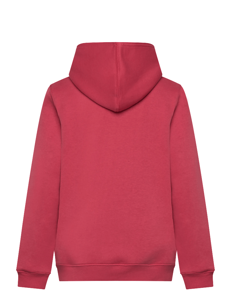 Levi's - PO-PULL-OVER HOODY - kapuzenpullover - cardinal - 1