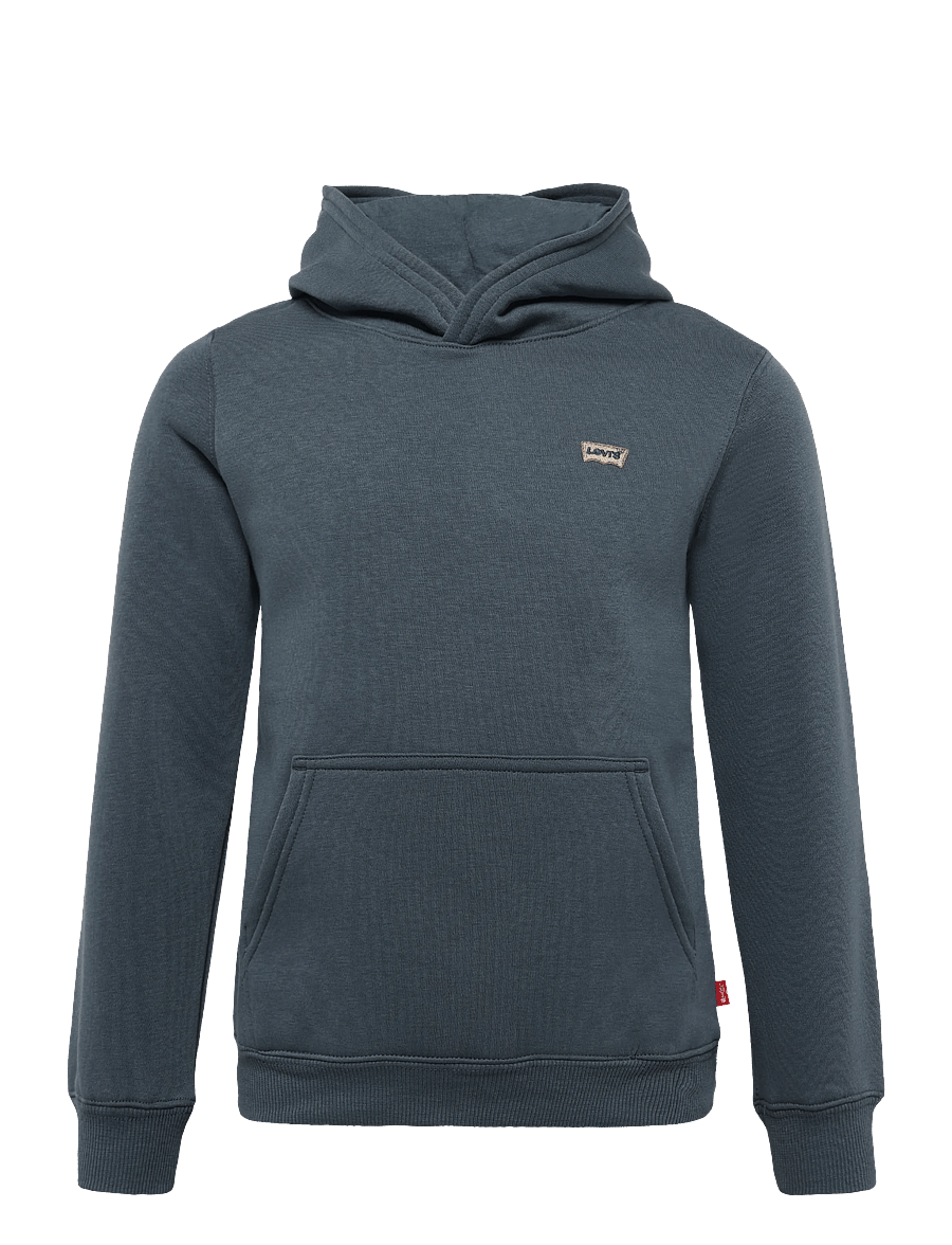 Levi's - PO-PULL-OVER HOODY - hættetrøjer - dark slate - 0