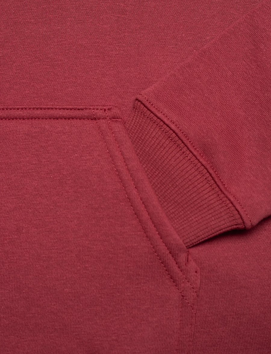Levi's - Levi's® Saddle Man Pullover Hoodie - hoodies - red pear - 3