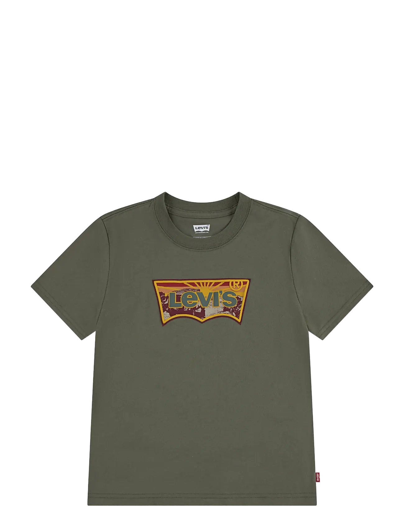 Levi's Levi's® Sunrise Desert Batwing Tee - Kleidung - DEEP LICHEN GREEN / khaki/green