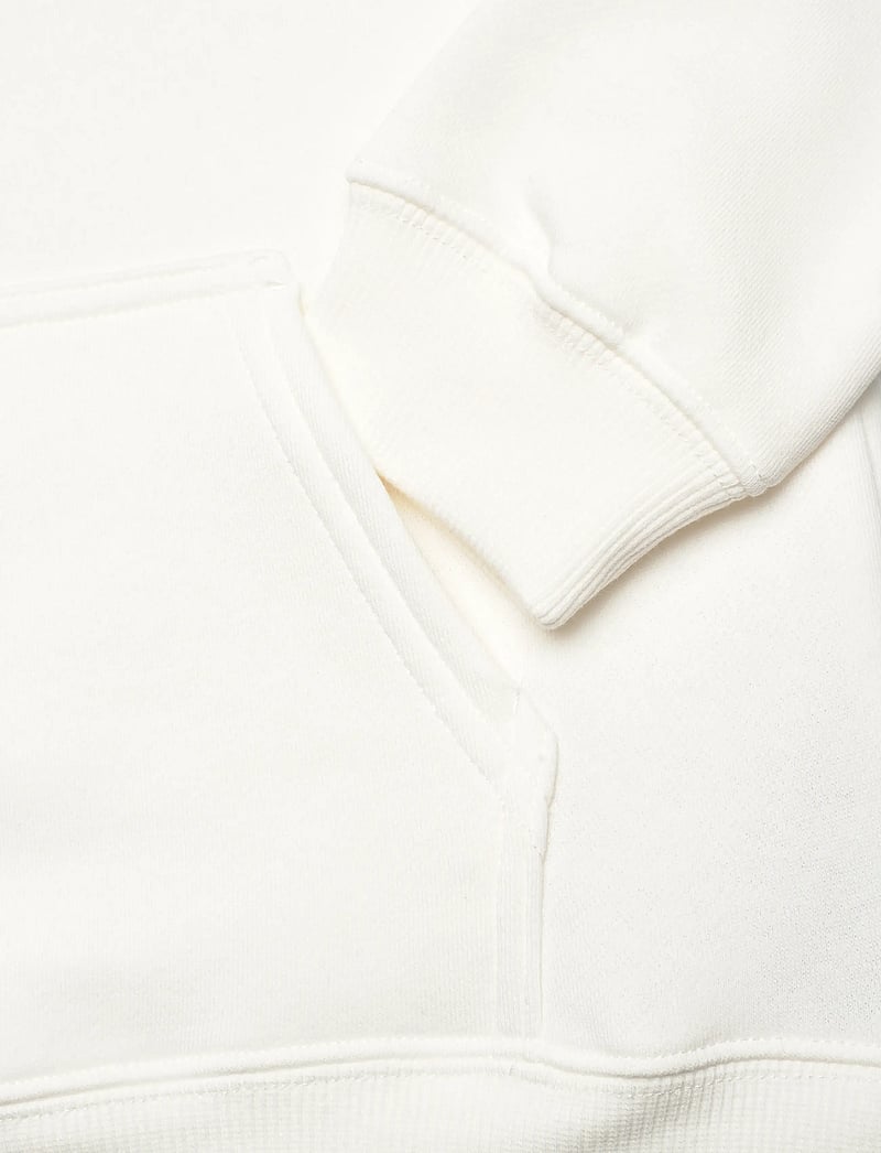 Levi's - PO-PULL-OVER HOODY - huvtröjor - levi's egret - 3