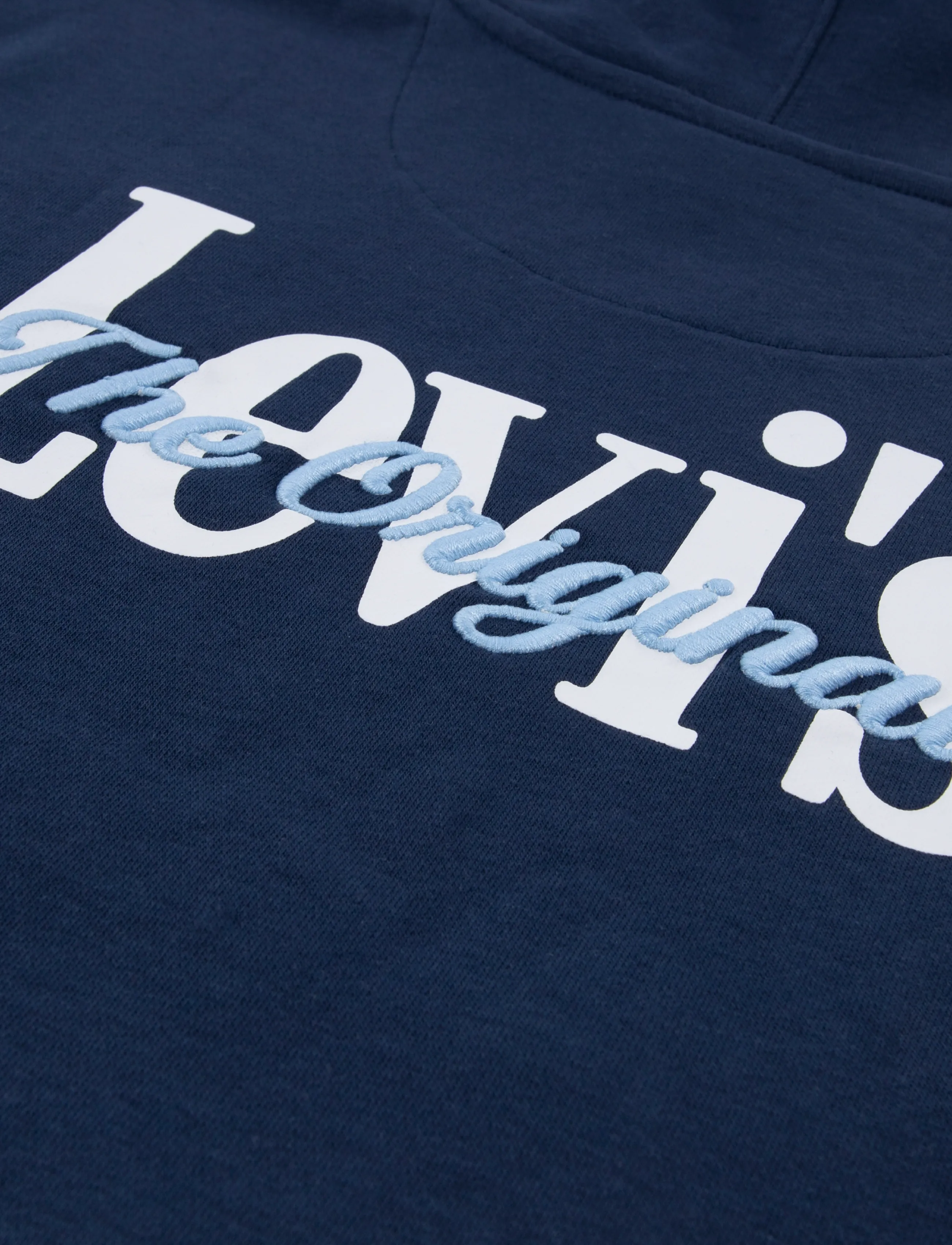Levi's - Levi's® Classic and Clean Pullover Hoodie - huvtröjor - dress blues - 4