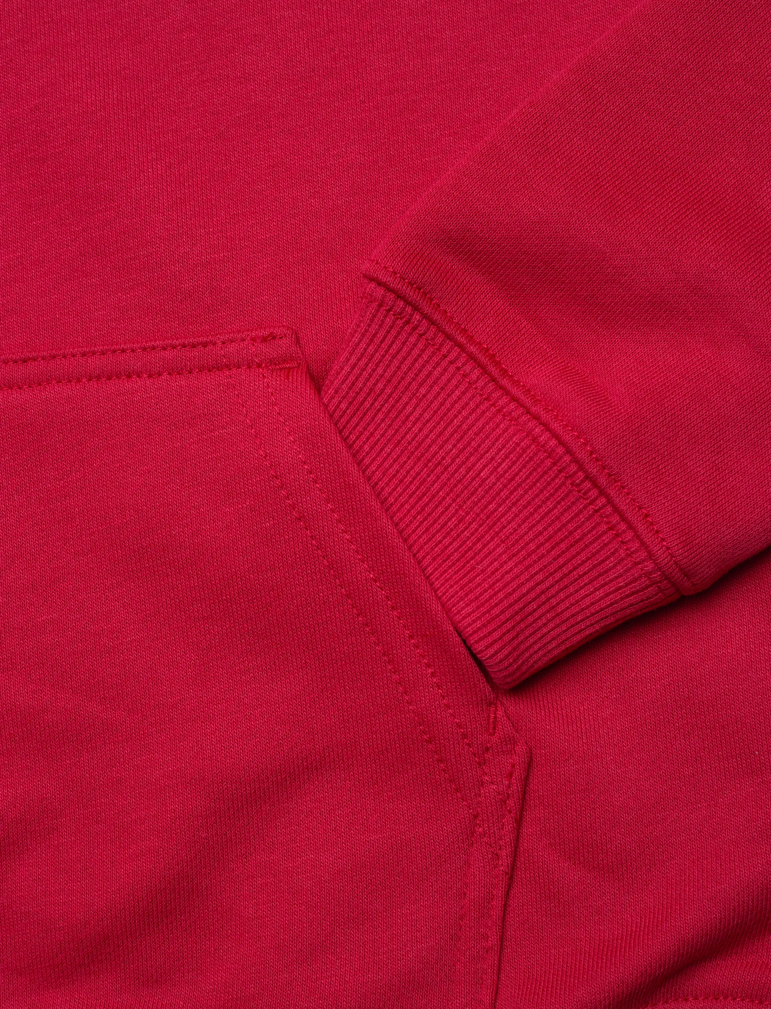 Levi's - Levi's® Barbecue Batwing Pullover Hoodie - kapuutsiga dressipluusid - urban red - 3