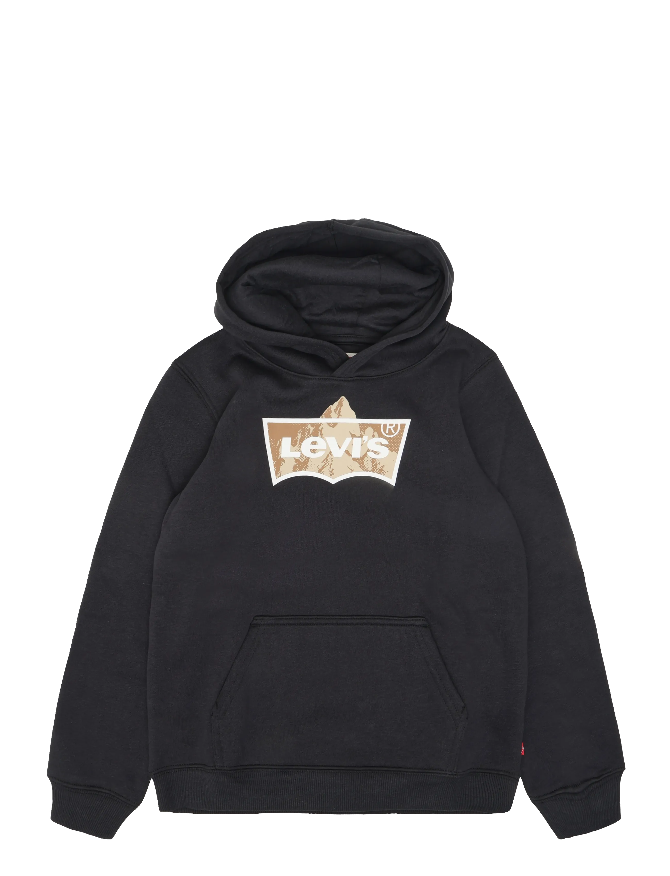 Levi's PO-PULL-OVER HOODY - Osta suuruse järgi - JET BLACK / black