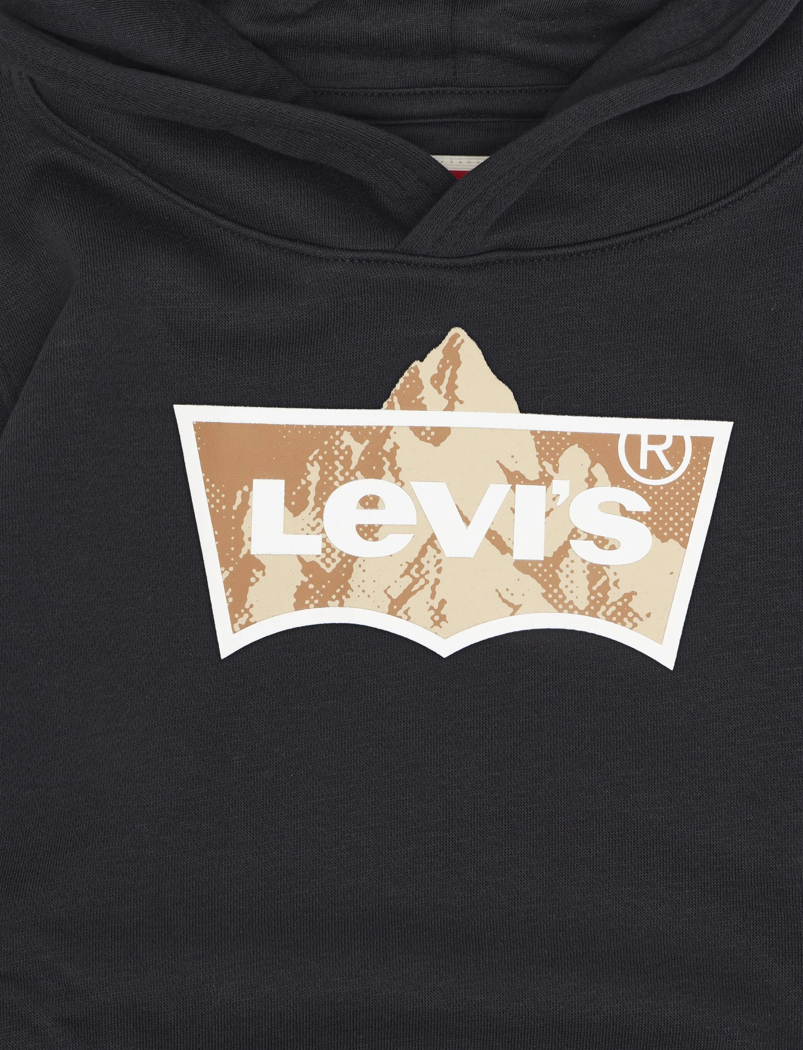 Levi's - PO-PULL-OVER HOODY - huvtröjor - jet black - 2
