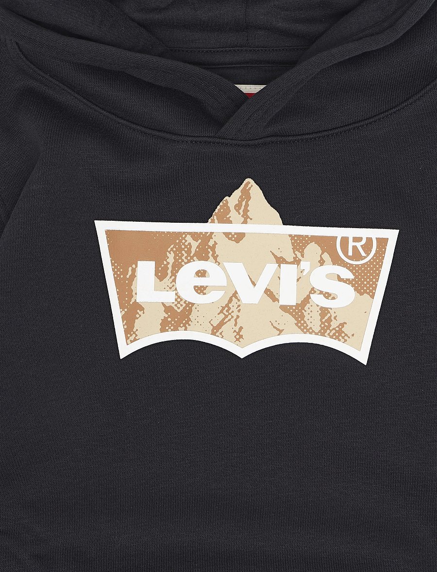 Levi's - PO-PULL-OVER HOODY - huvtröjor - jet black - 2