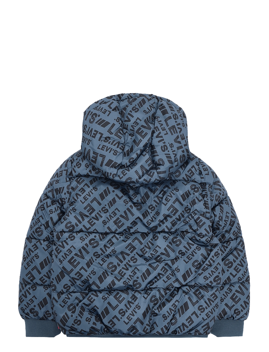 Levi's - HO-HEAVY WEIGHT OUTERWEAR - dunjakker - dark slate - 1