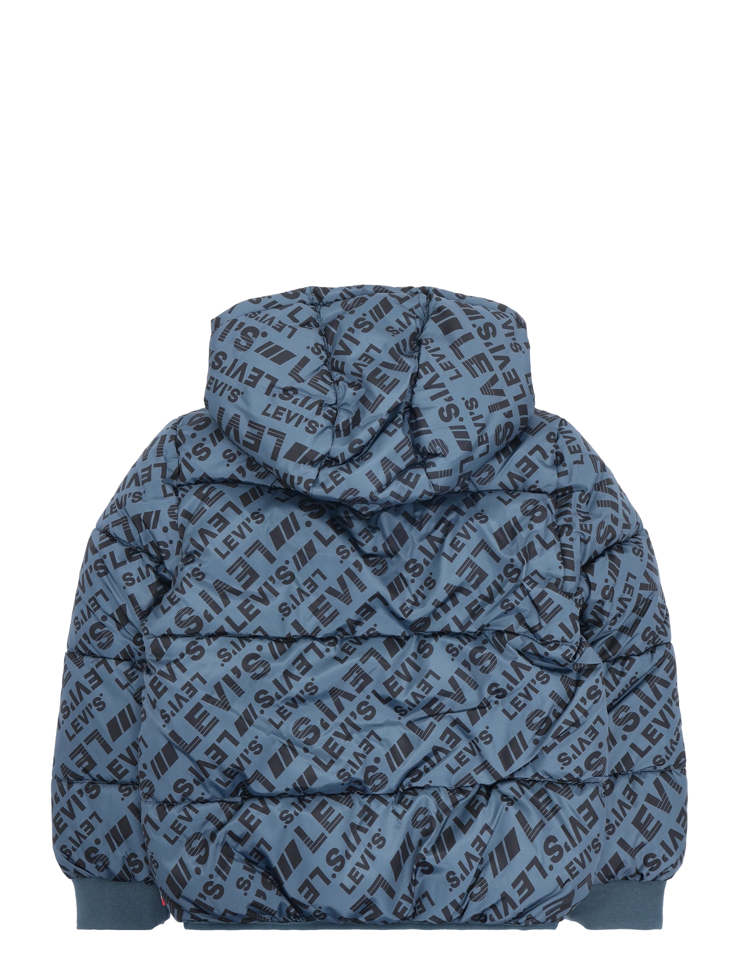 Levi's - HO-HEAVY WEIGHT OUTERWEAR - dunjakker - dark slate - 1
