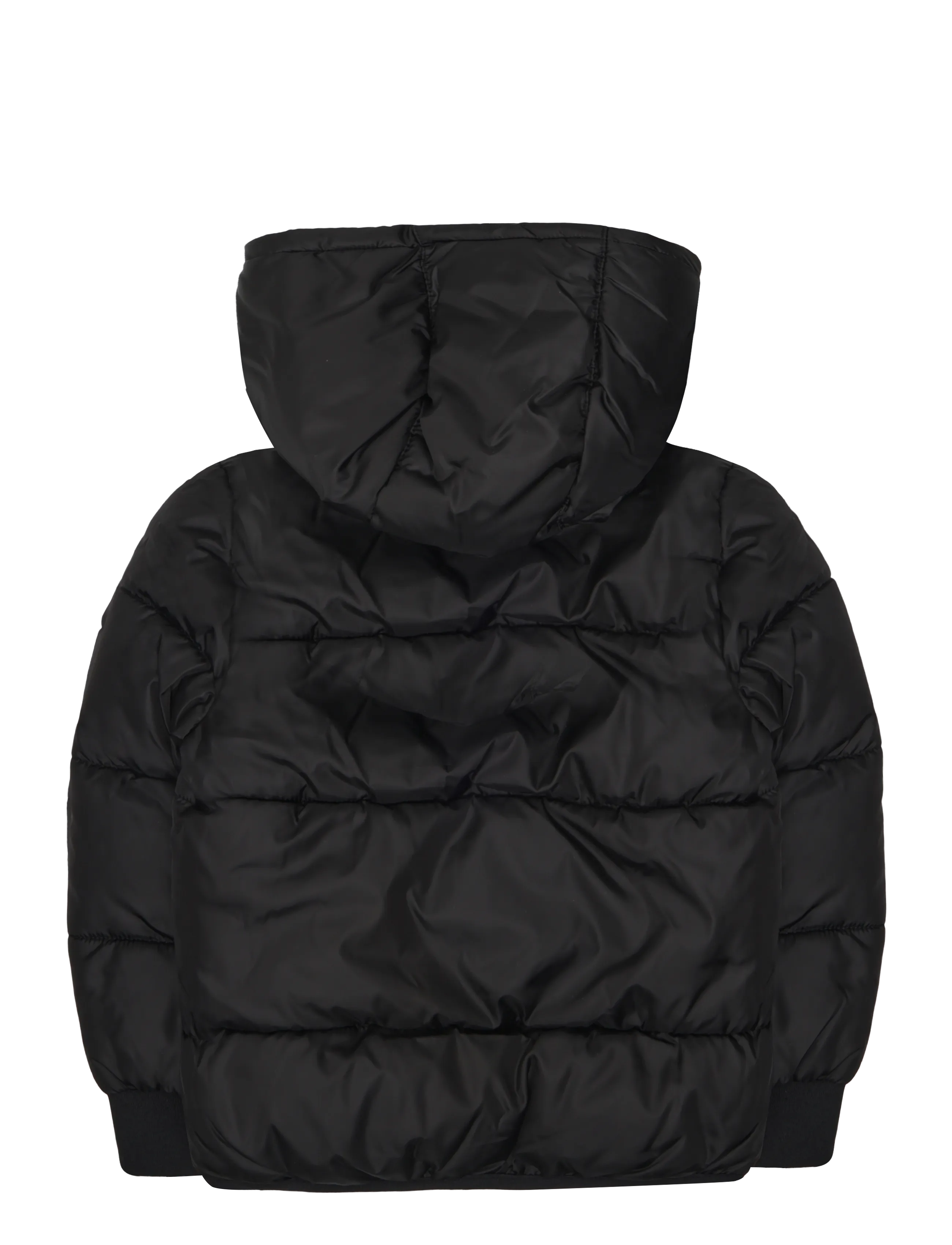 Levi's - HO-HEAVY WEIGHT OUTERWEAR - daunen- und steppjacken - jet black - 1