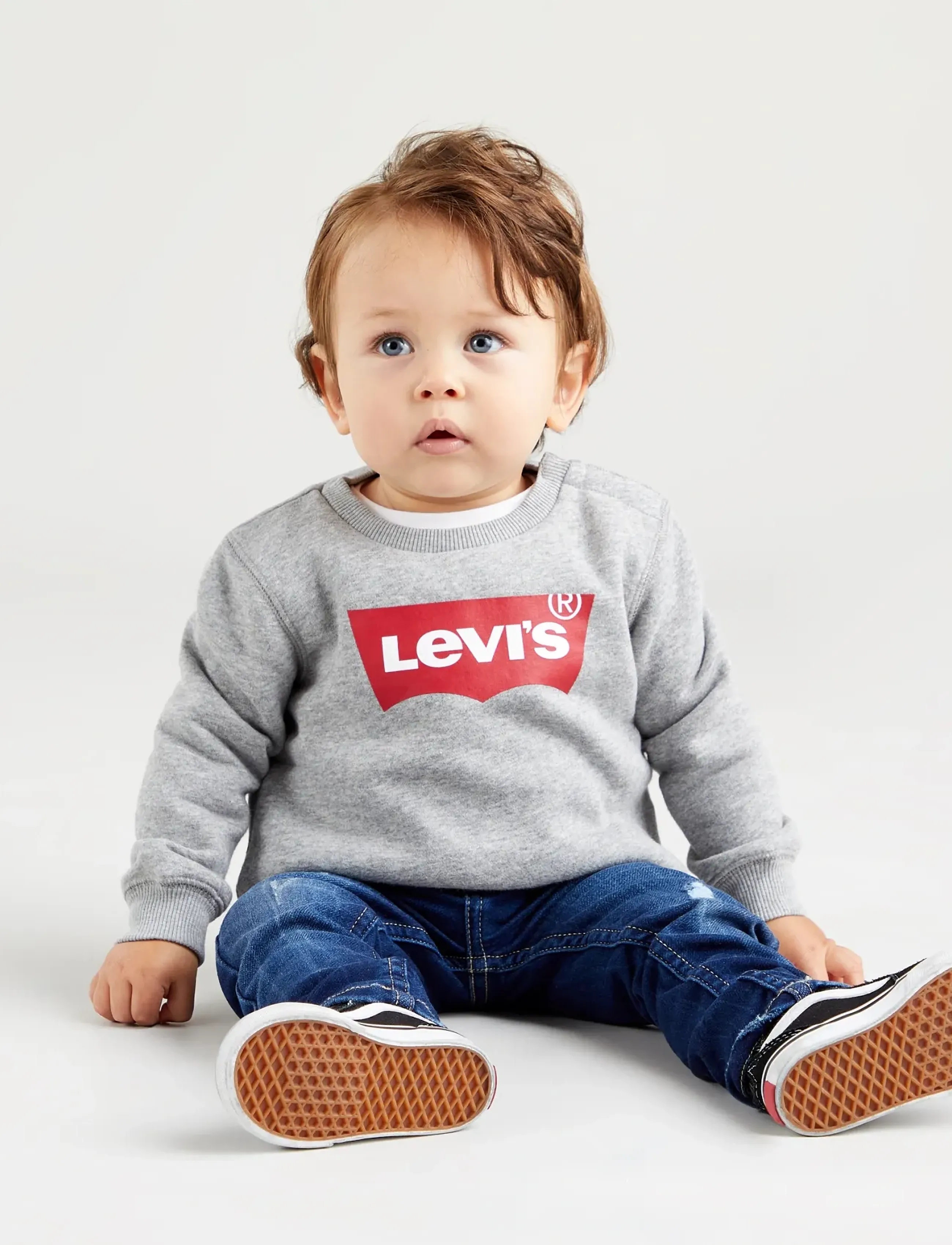 Levi's Levi's Batwing Crewneck Sweatshirt, 152, Grey, Sweatshirts & Hættetrøjer > Sweatshirts, Børn