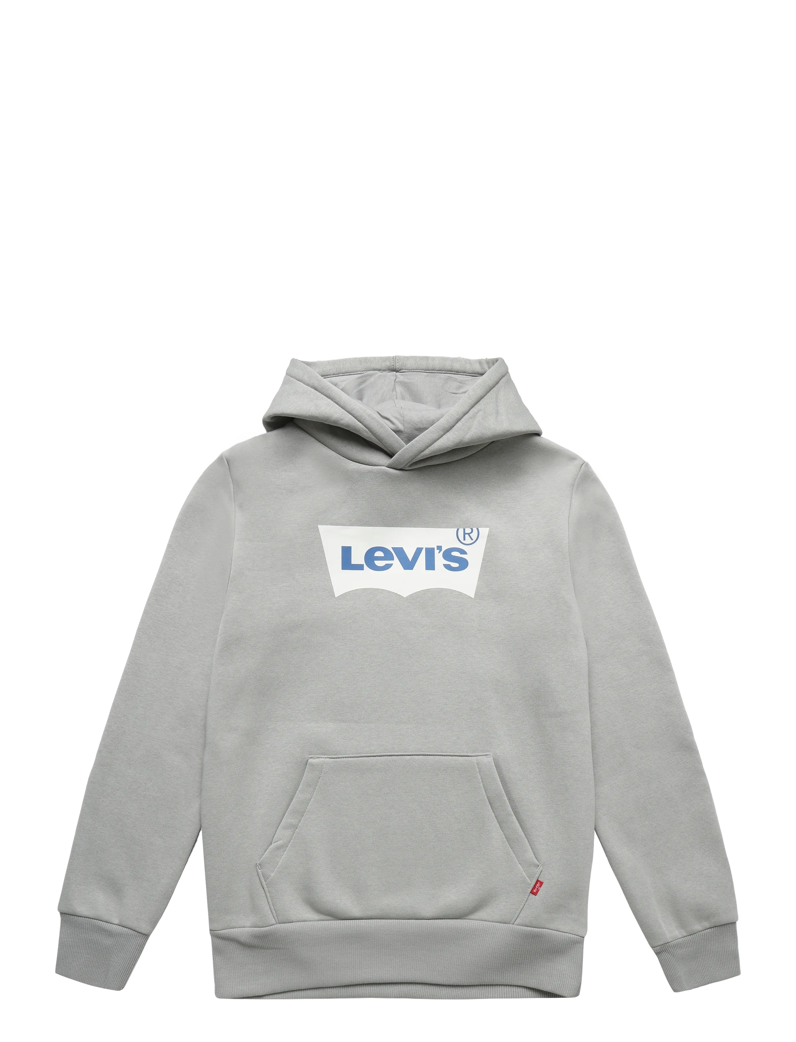 Levi's PO-PULL-OVER HOODY - Tagasi kooli - GHOST GRAY / grey