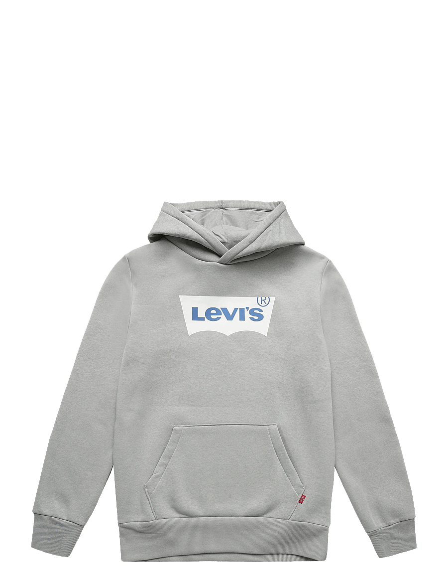Levi's - PO-PULL-OVER HOODY - kapuutsiga pusad - ghost gray - 0