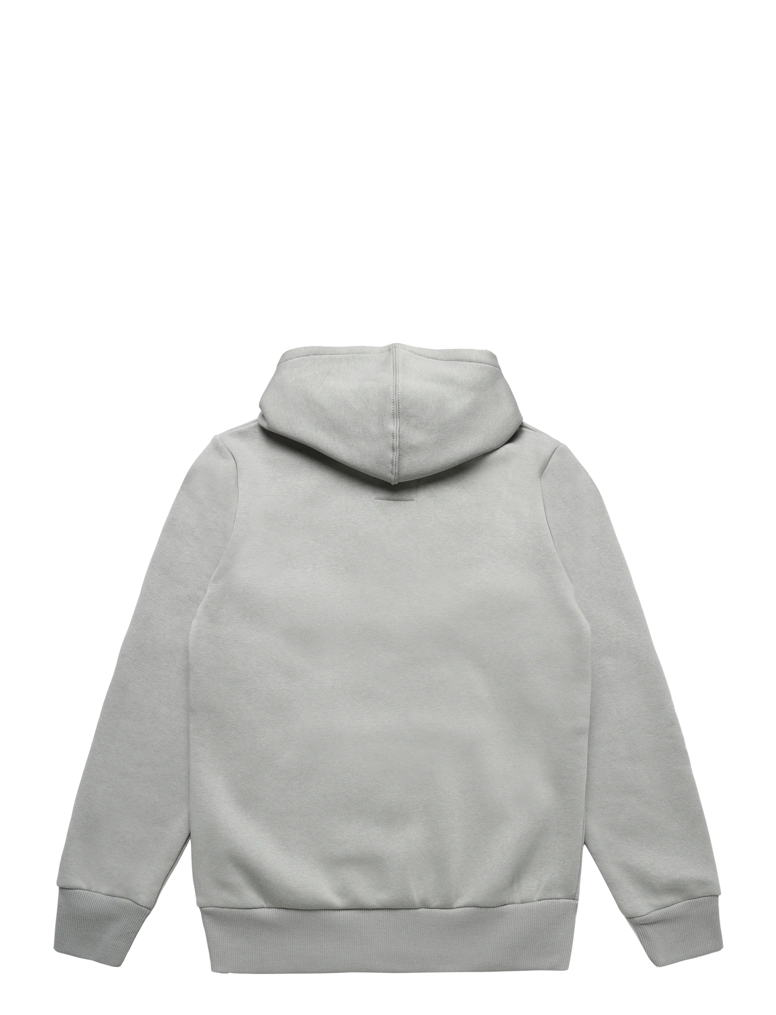 Levi's - PO-PULL-OVER HOODY - kapuutsiga pusad - ghost gray - 1