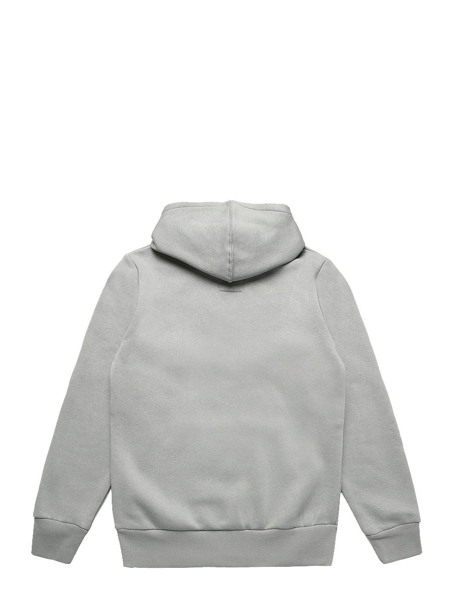 Levi's - PO-PULL-OVER HOODY - kapuutsiga pusad - ghost gray - 1