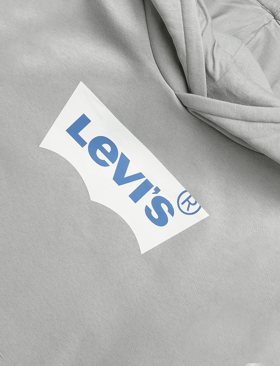 Levi's - PO-PULL-OVER HOODY - kapuutsiga pusad - ghost gray - 2