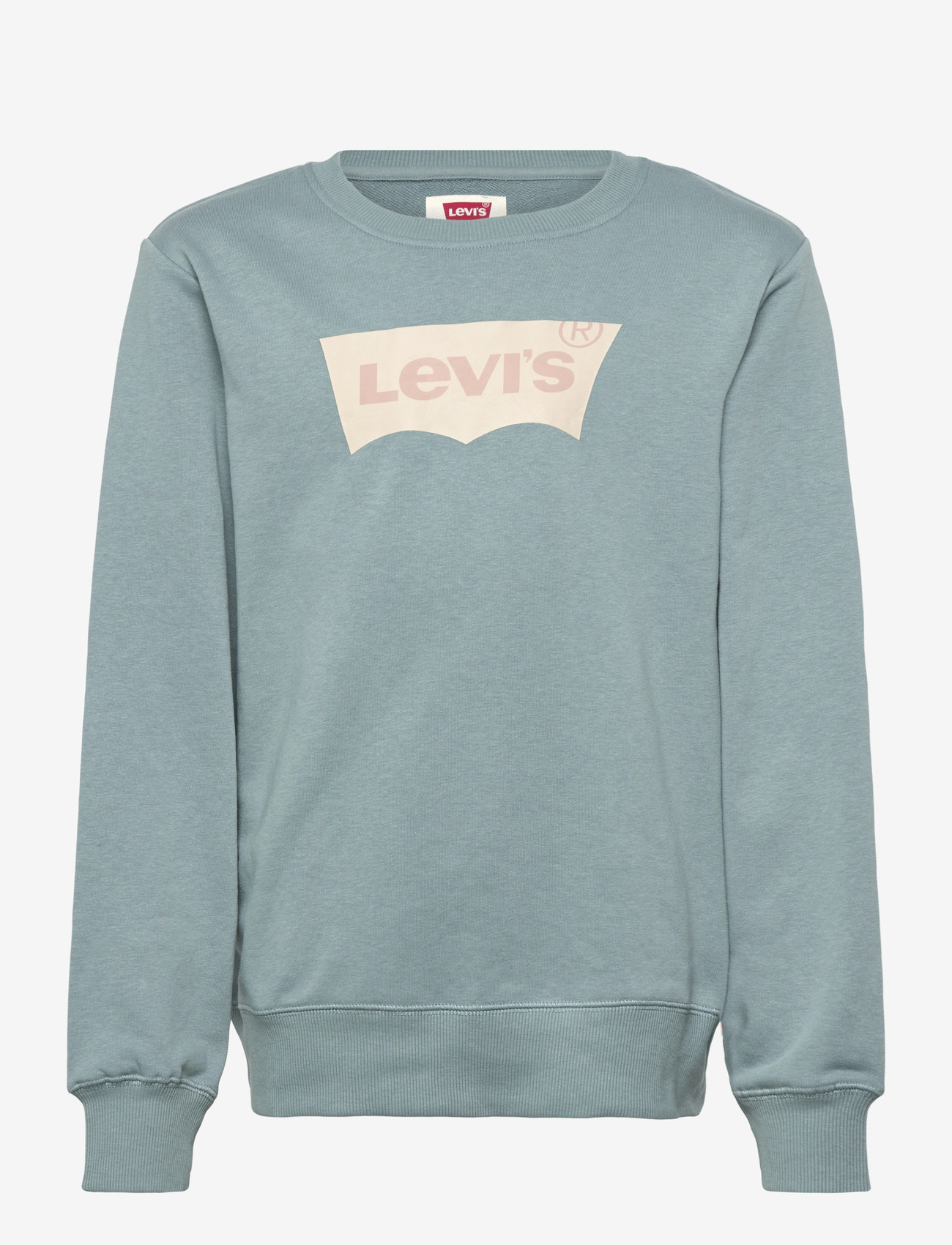 Levi's - Levi's® Batwing French Terry Pullover - sweatshirts - lead - 0