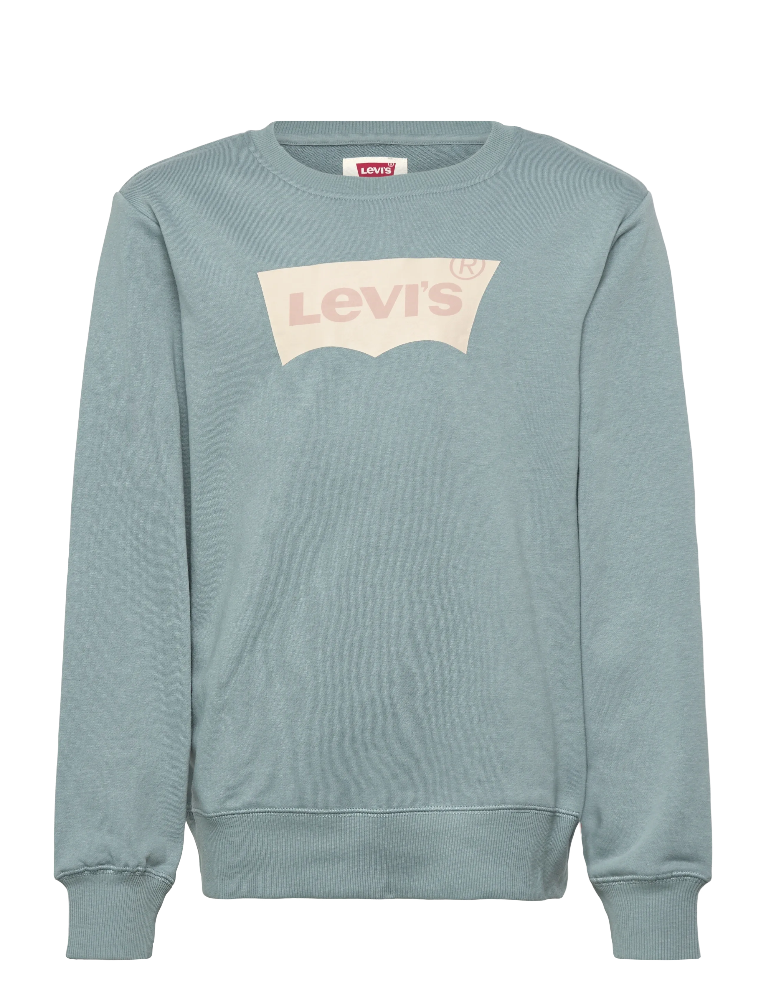 Levi's Levi's® Batwing French Terry Pullover - Sweatshirts & Hættetrøjer - LEAD / green