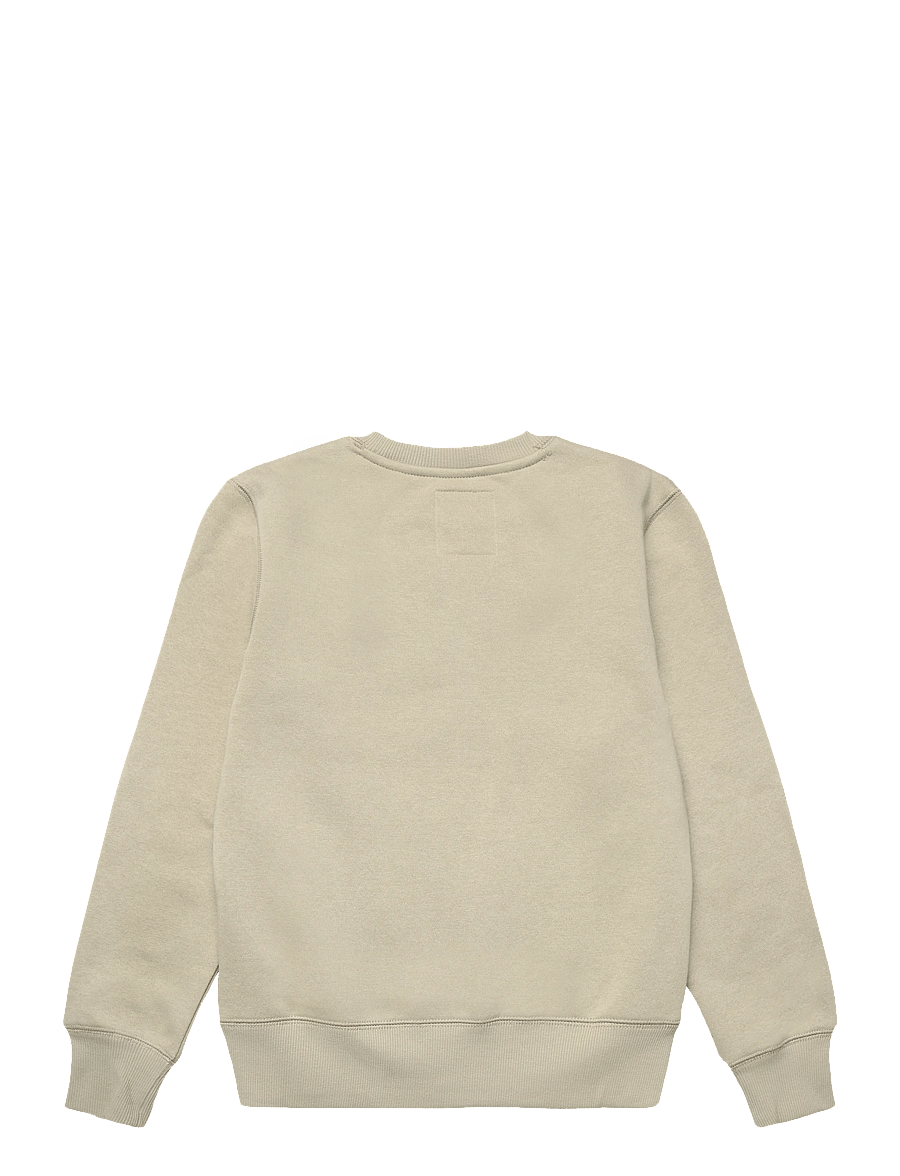 Levi's - FW-CREW - dressipluusid - fields of rye - 1