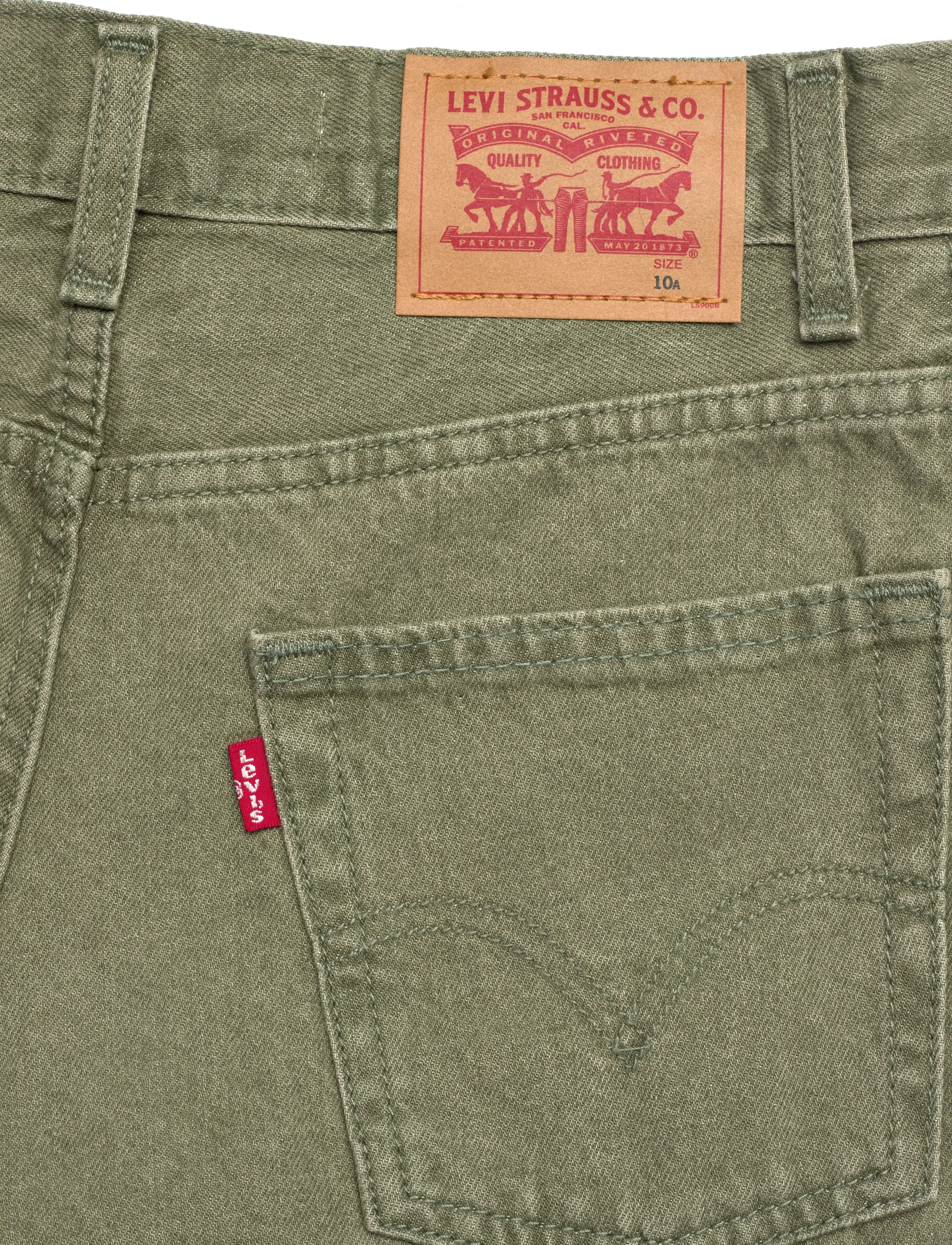 Levi's - Levi's® Skate Shorts - shorts - cacti wash - 4
