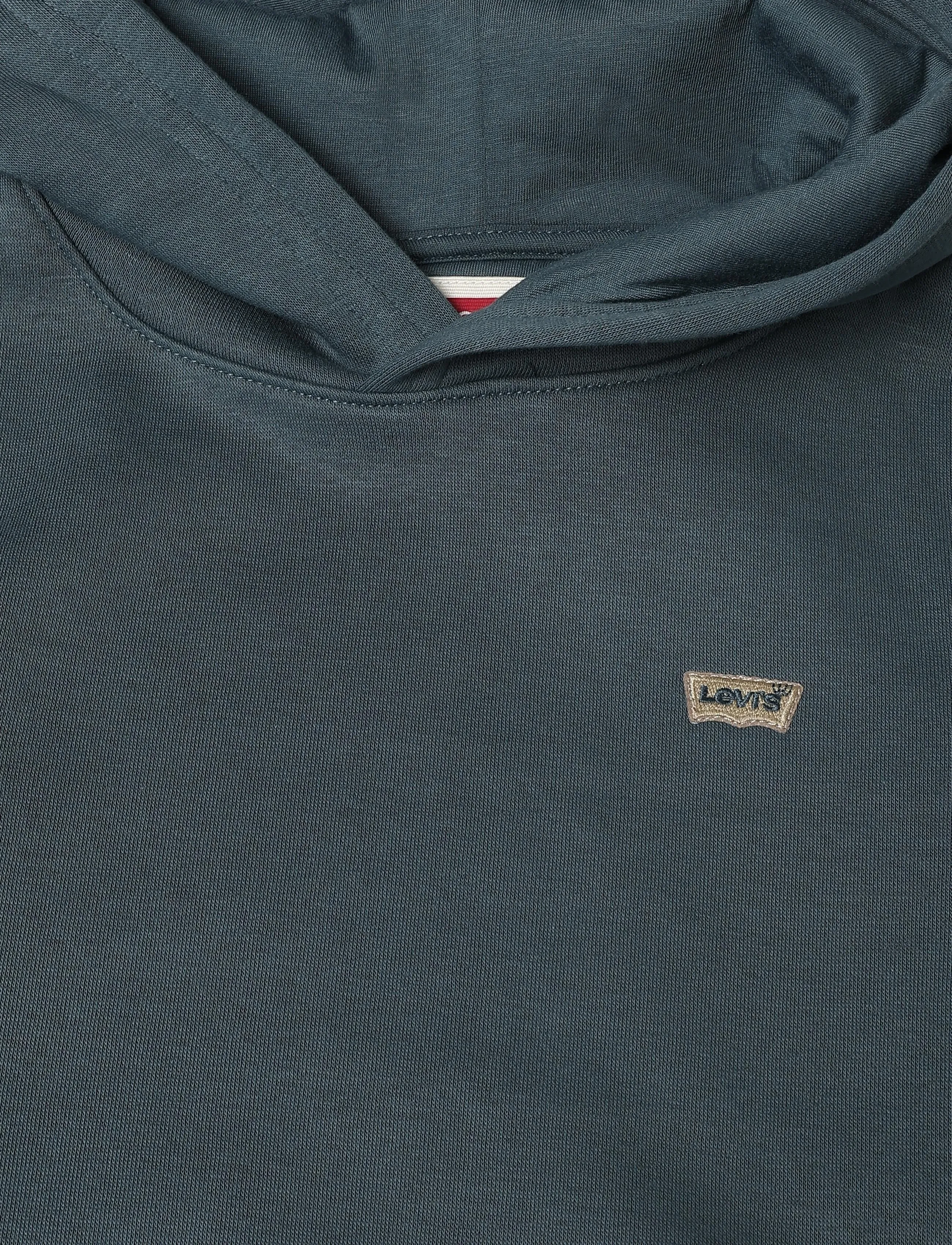 Levi's - PO-PULL-OVER HOODY - kapuutsiga pusad - dark slate - 2