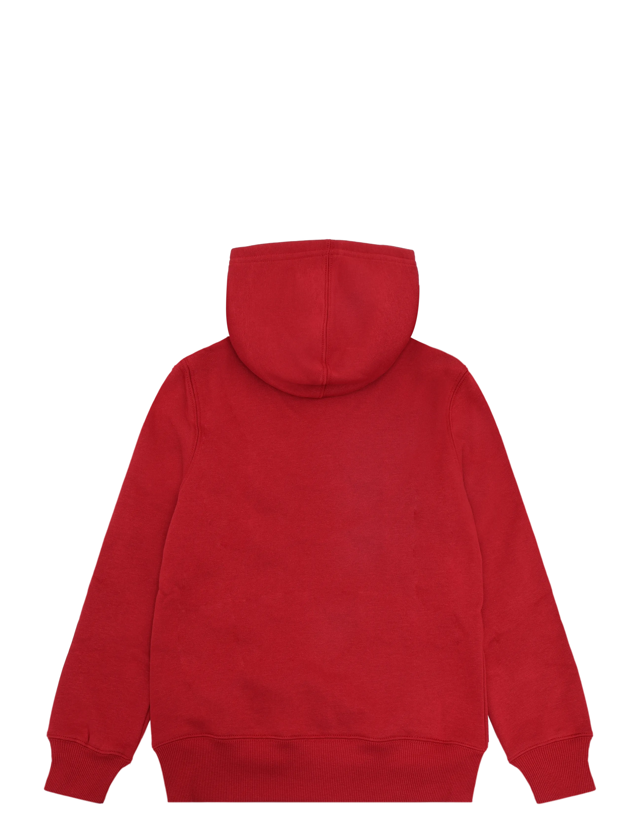Levi's - PO-PULL-OVER HOODY - hoodies - emboldened - 1