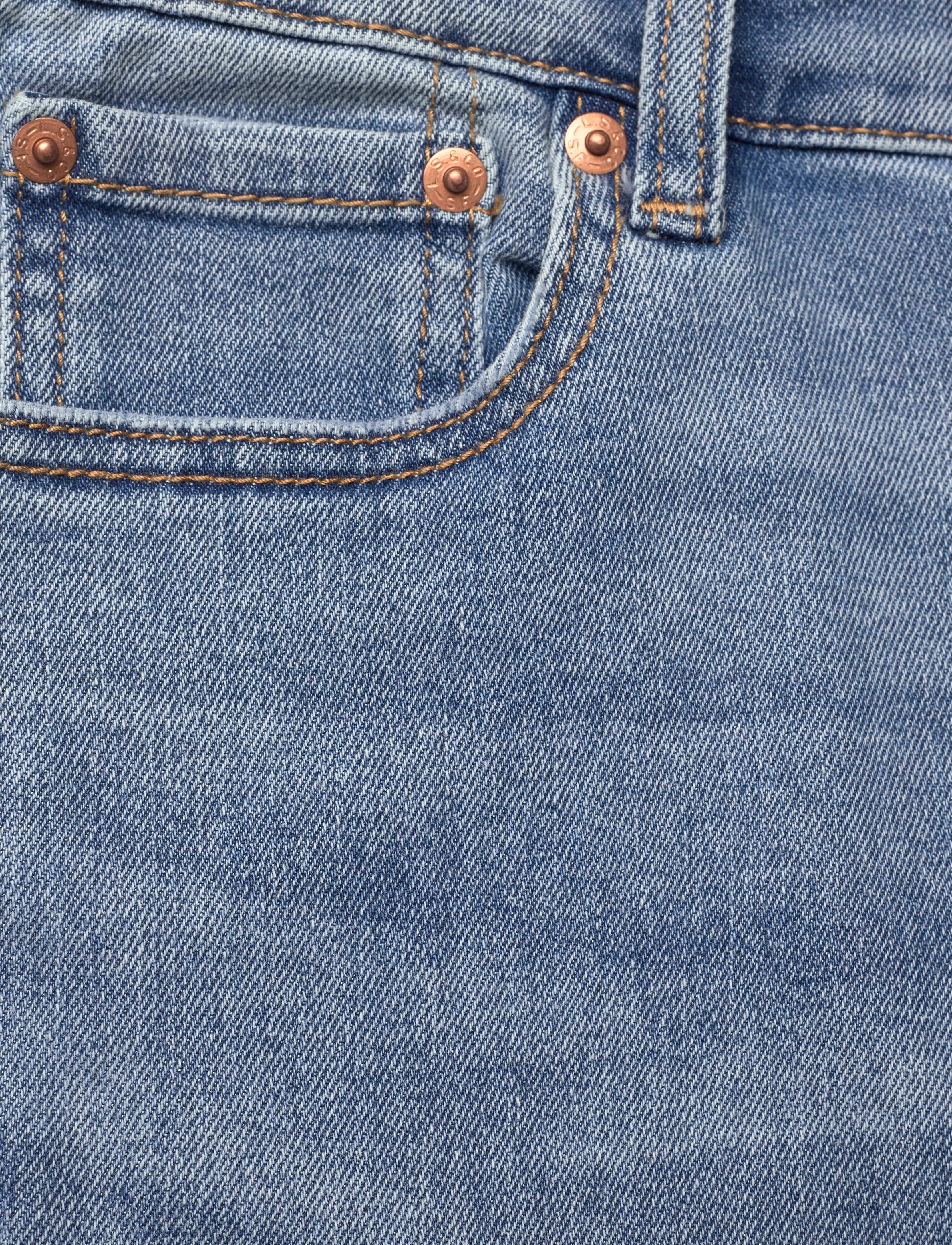 Levi's - EH-DENIM SHORTS - jeansshorts - joshua tree - 2