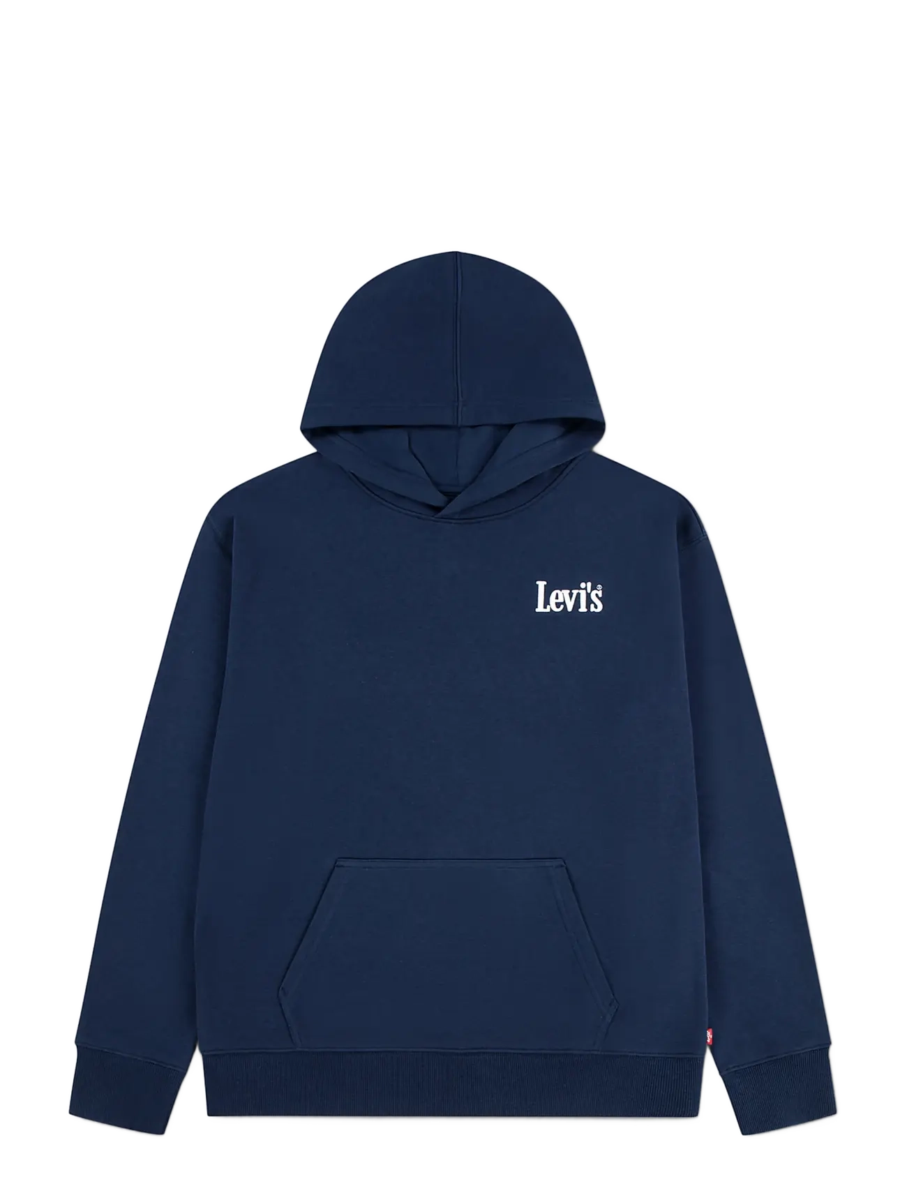 Levi's Classic And Clean Pullover Hoodie, 176, Sweatshirts & Hoodies, Blau - Kinder